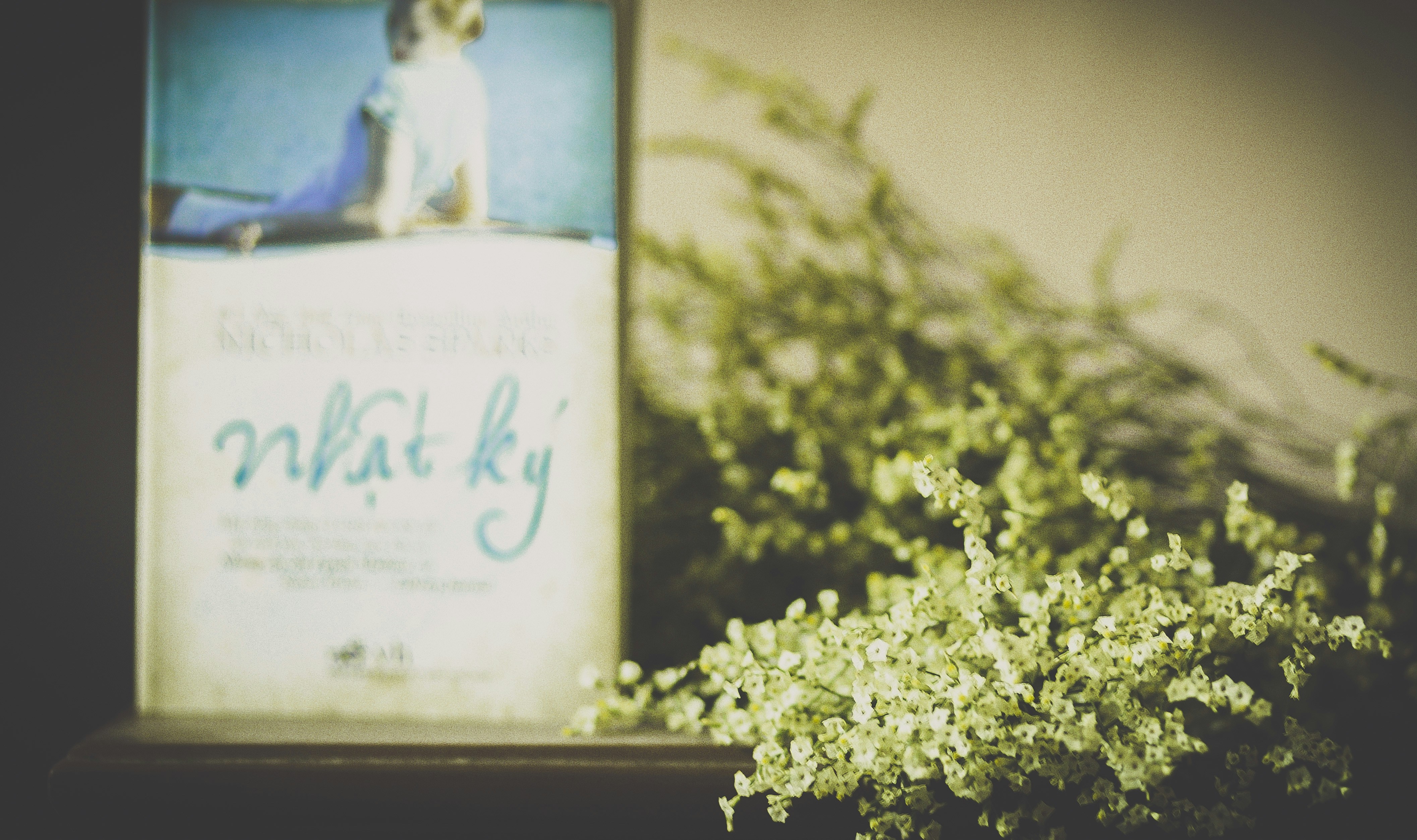 Free Unsplash photo from Cuong Tran