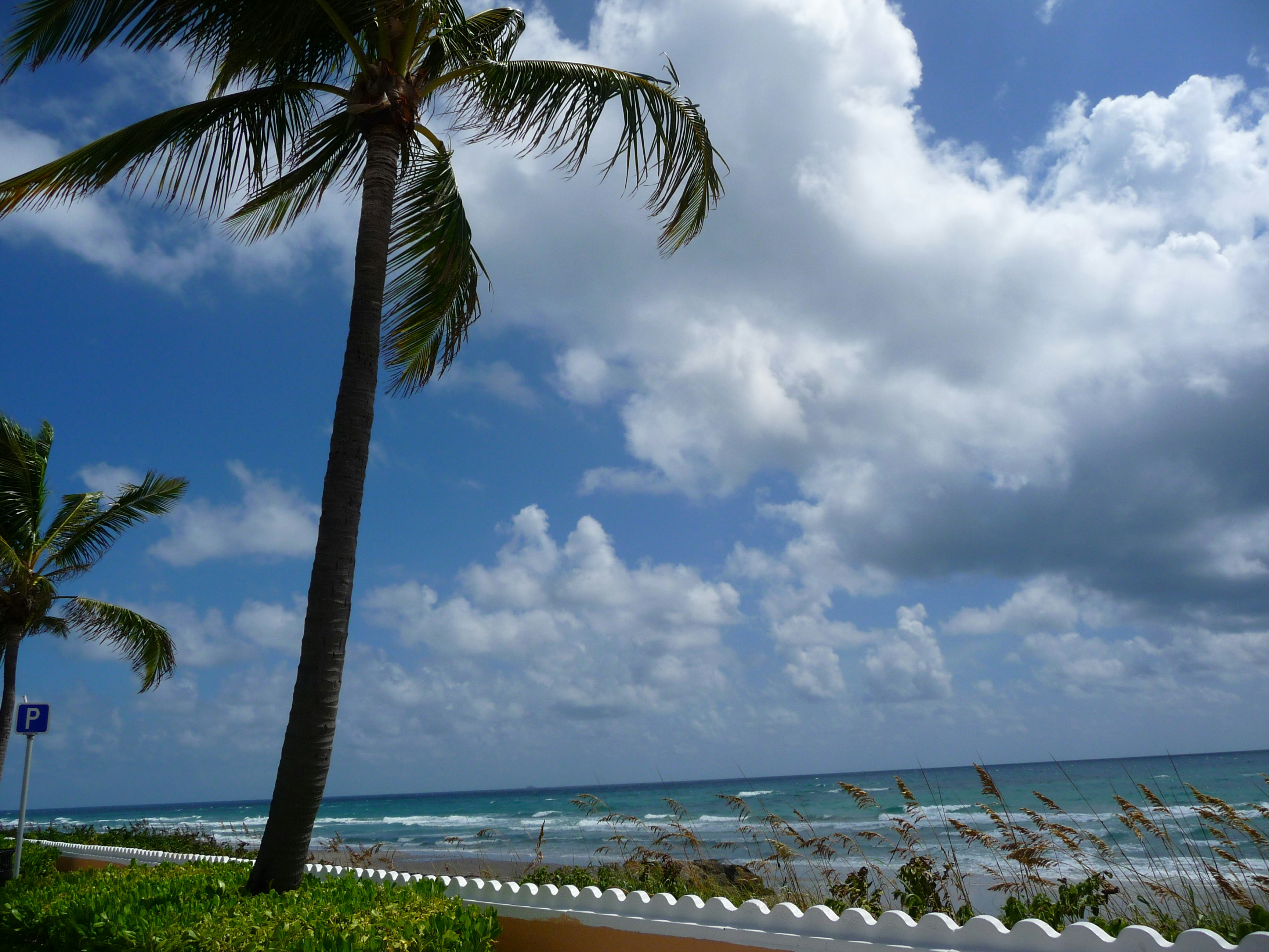 Free Unsplash photo from Daisy Galindo