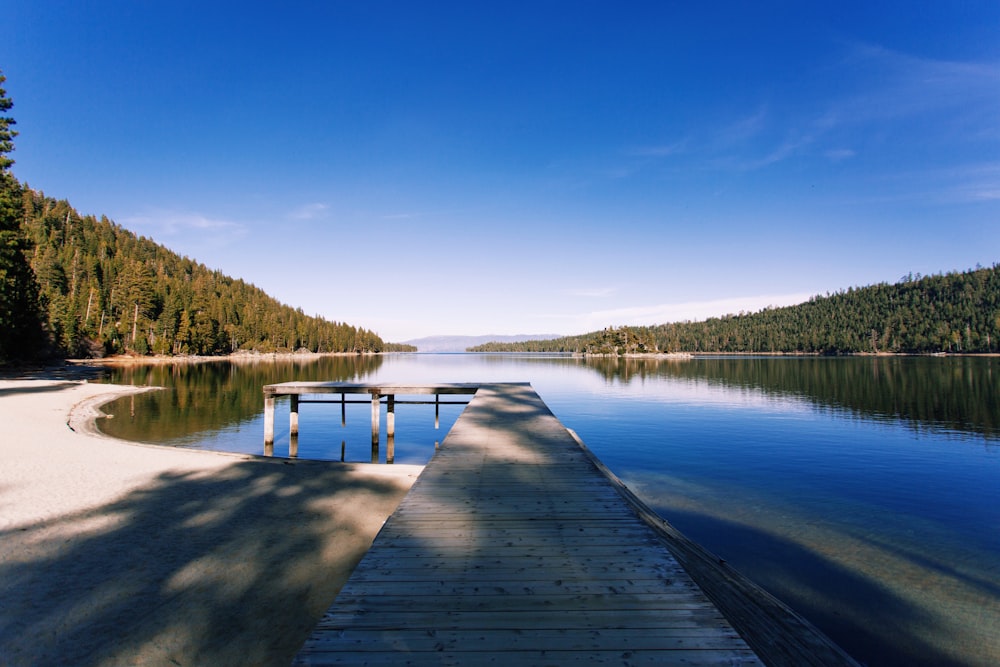 gray dock on body of water near green leafed trees