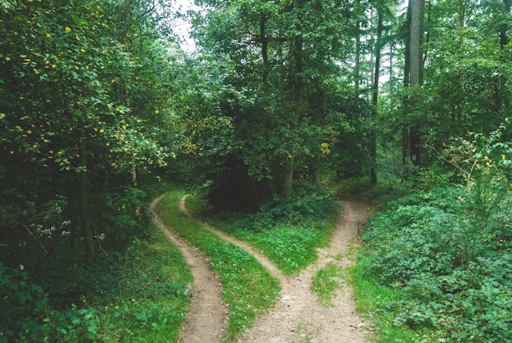 An intersection with two paths in the woods