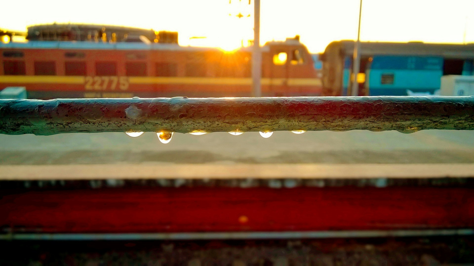 Free Unsplash photo from Muhammed Fayiz