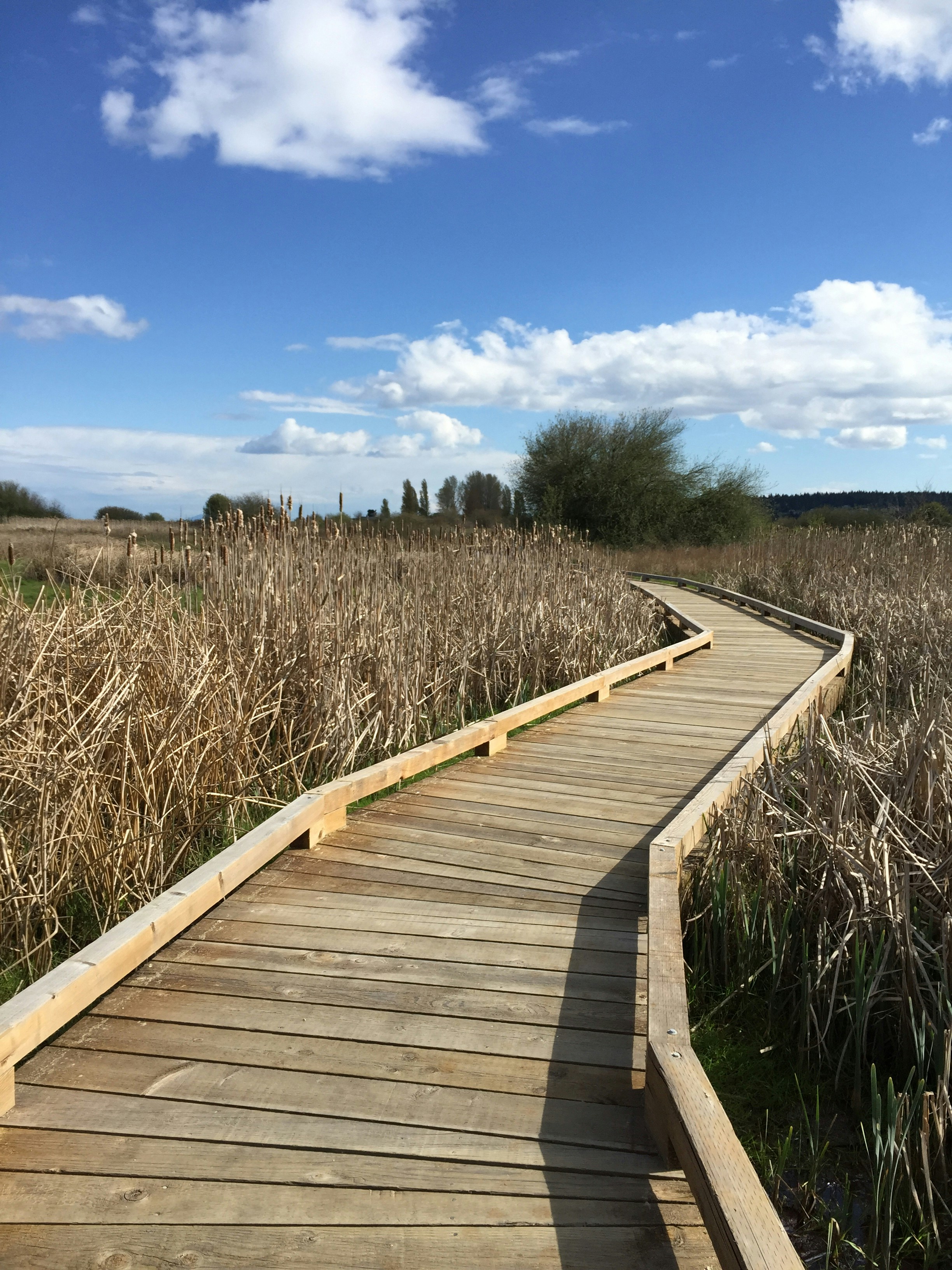 Free Unsplash photo from Sherry Lynch