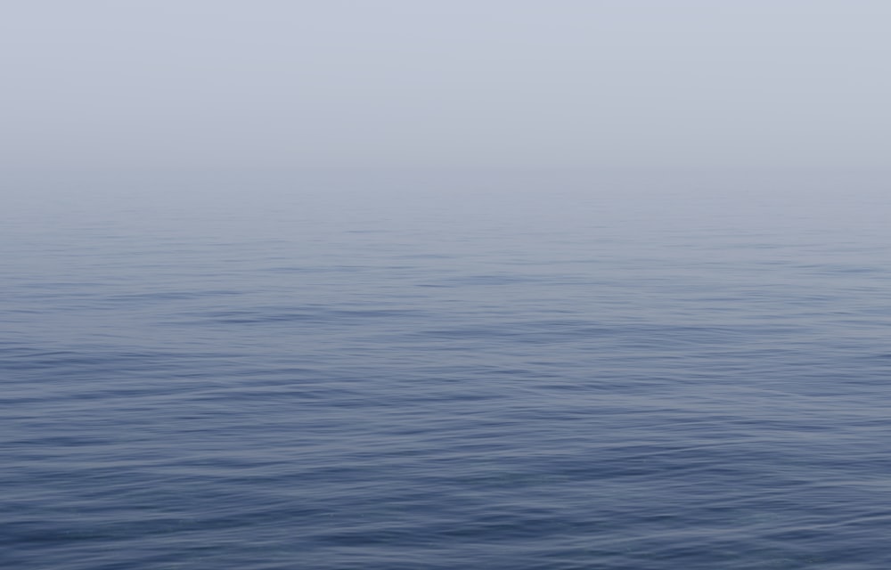 misty body of water