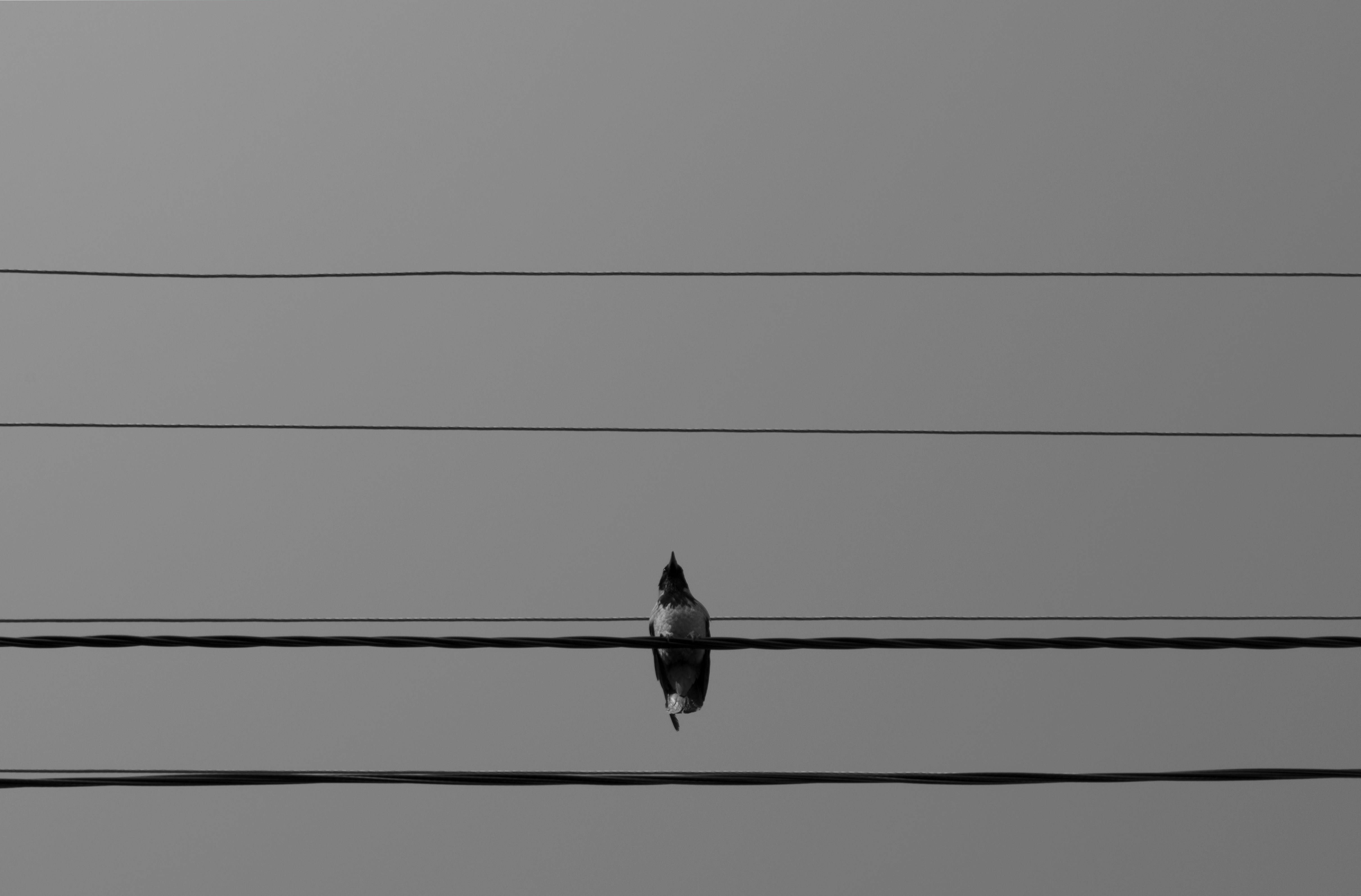 Free Unsplash photo from Kate Chikina