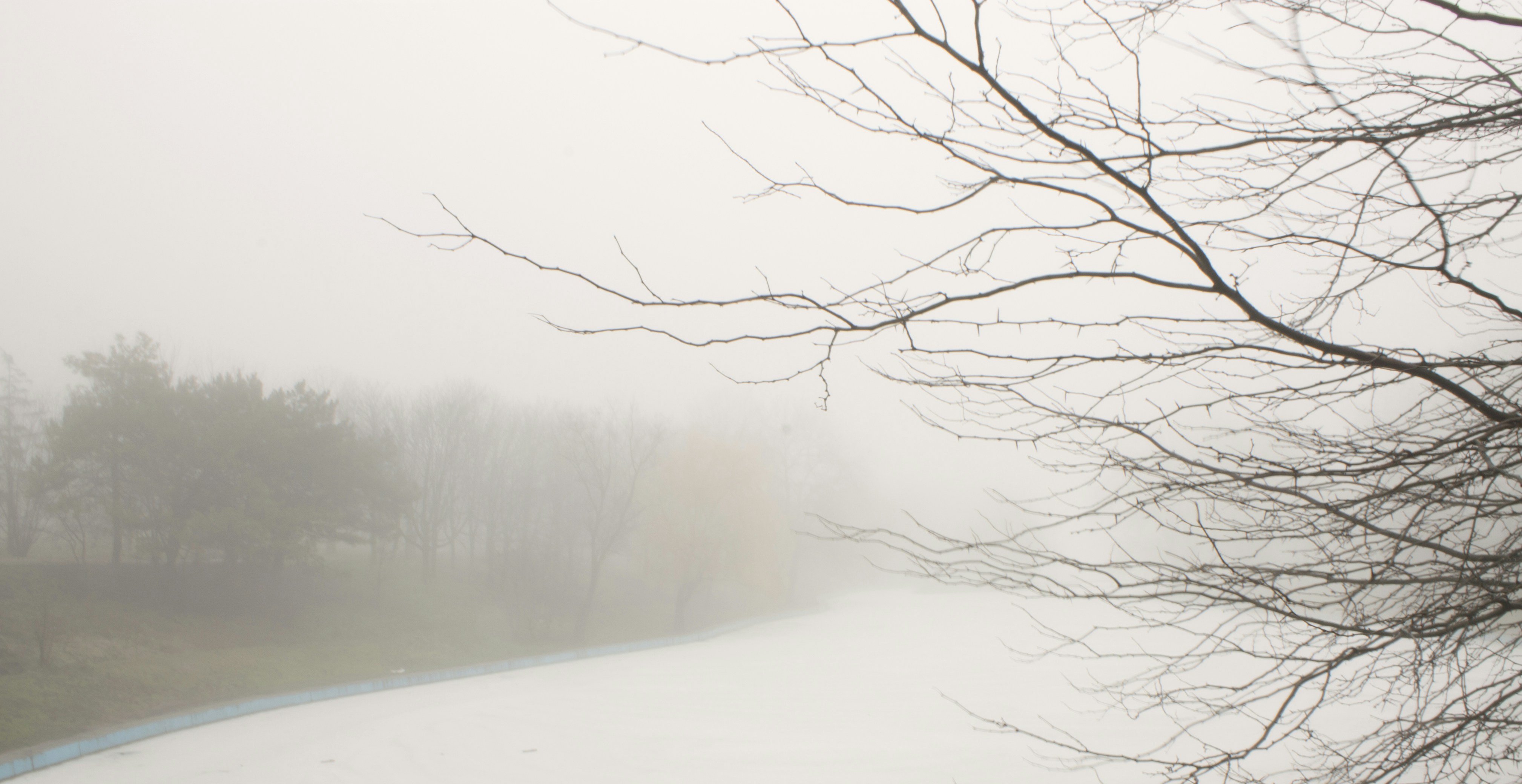 Free Unsplash photo from Kate Chikina