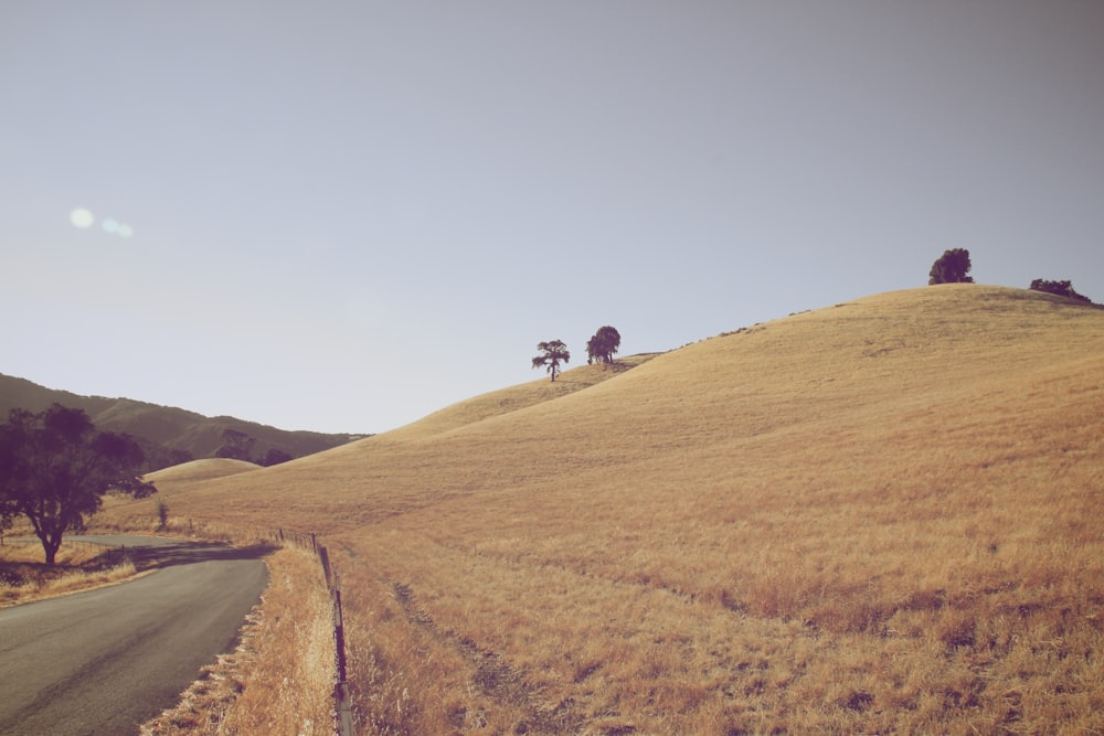 landscape photo of road beside field of grass