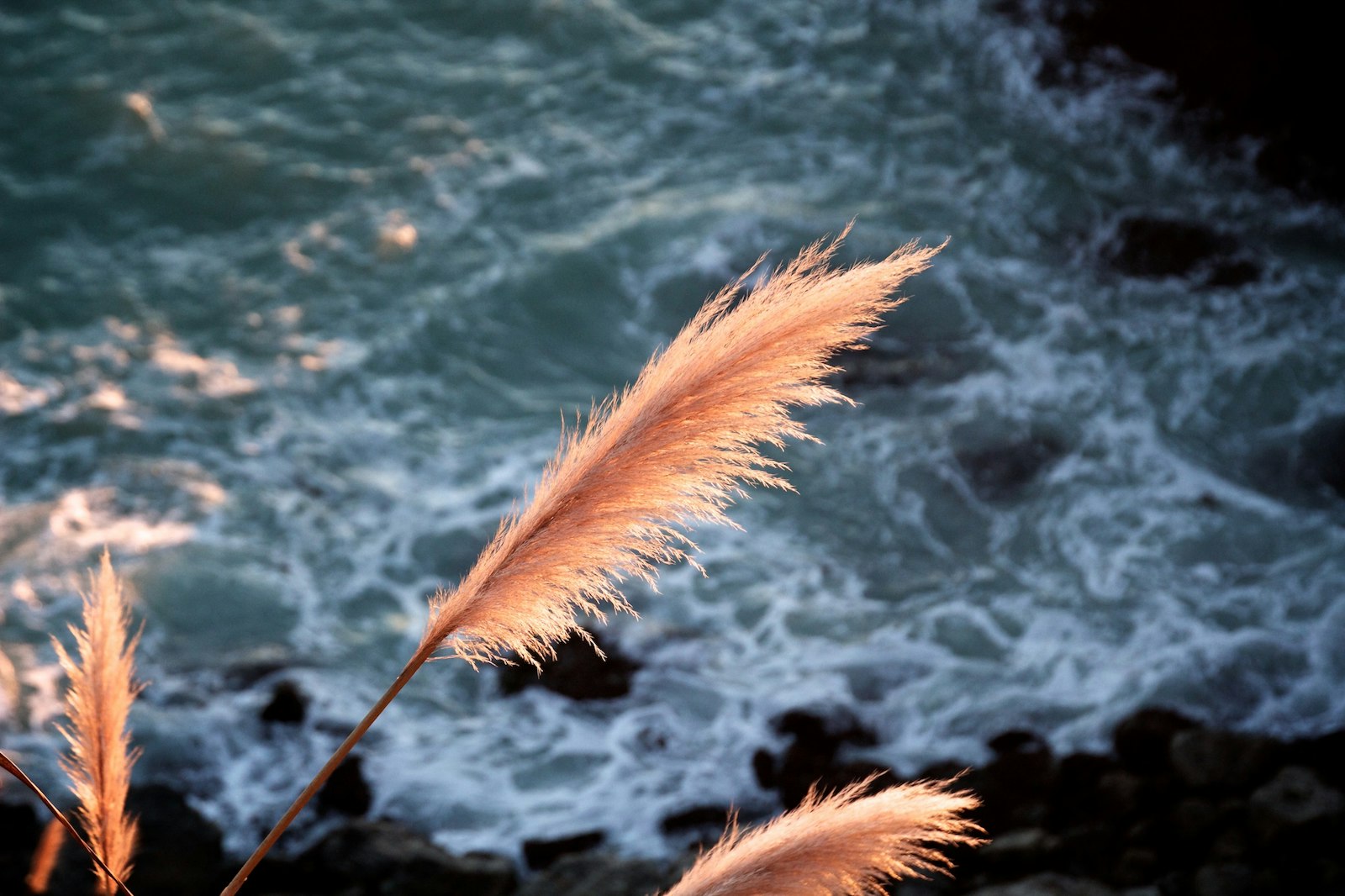 Tamron AF 18-270mm F3.5-6.3 Di II VC LD Aspherical (IF) MACRO sample photo. Orange leaf on cliff photography