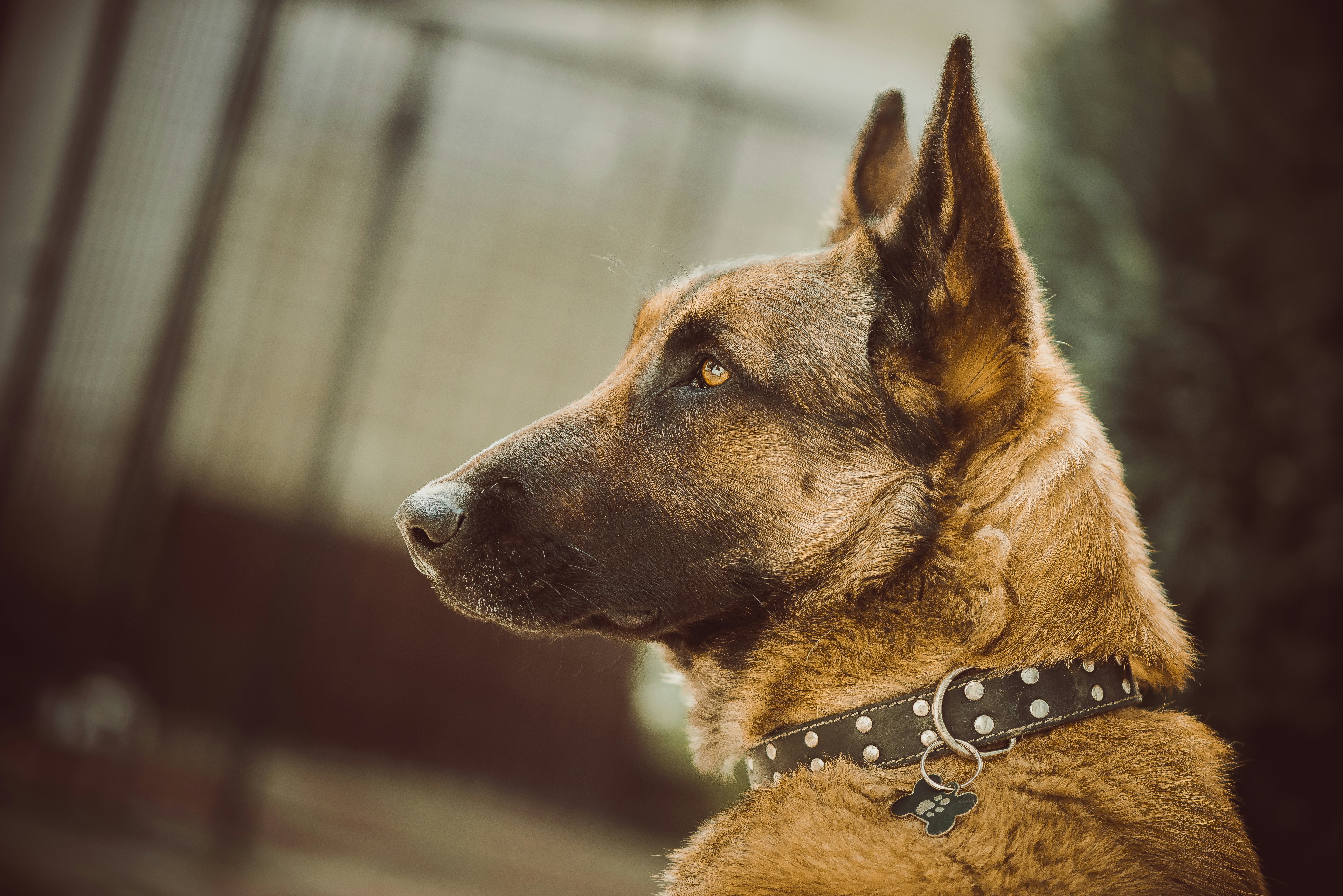 Free Unsplash photo from Buzac Marius