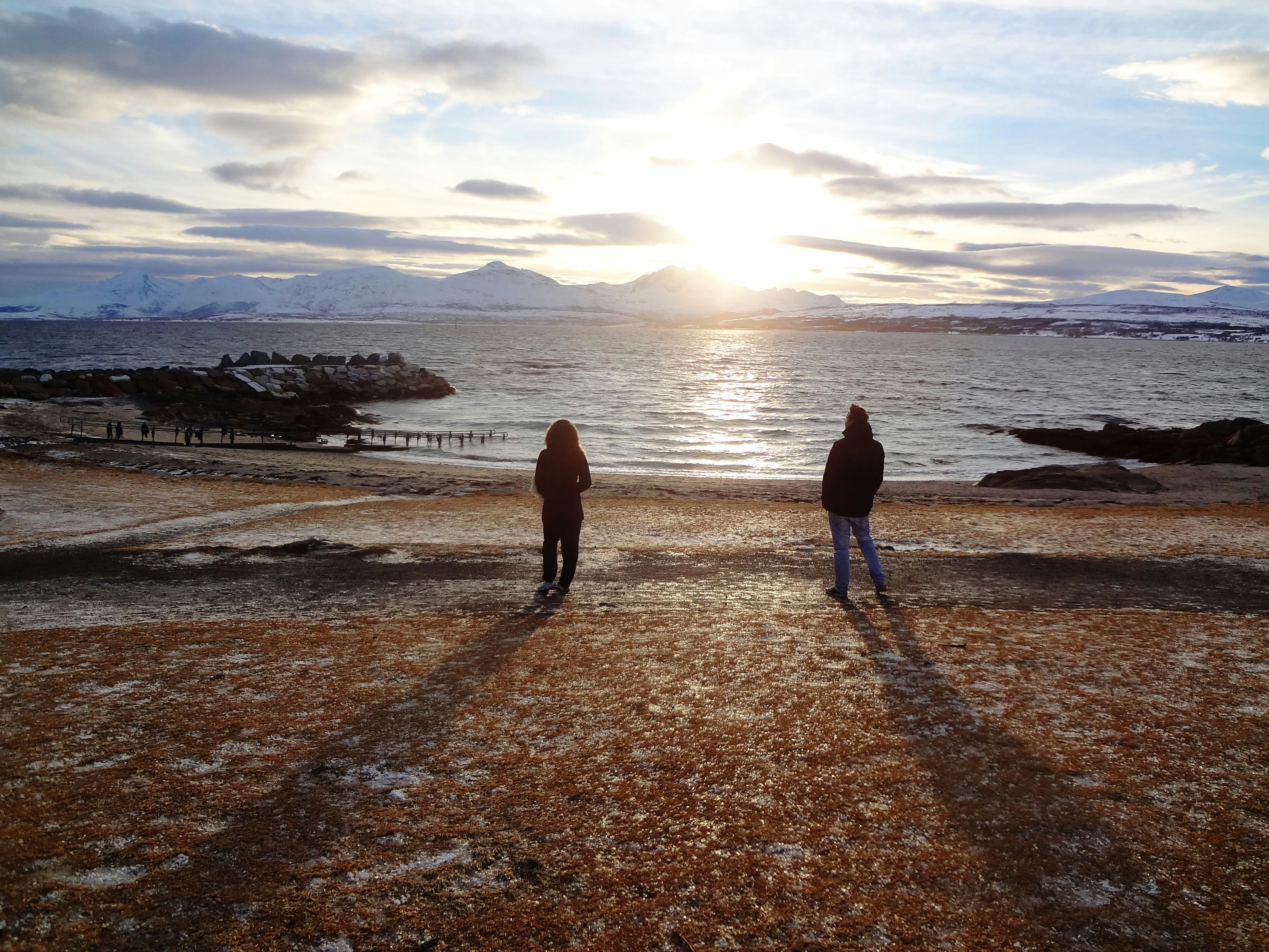 Free Unsplash photo from Johan Löthman