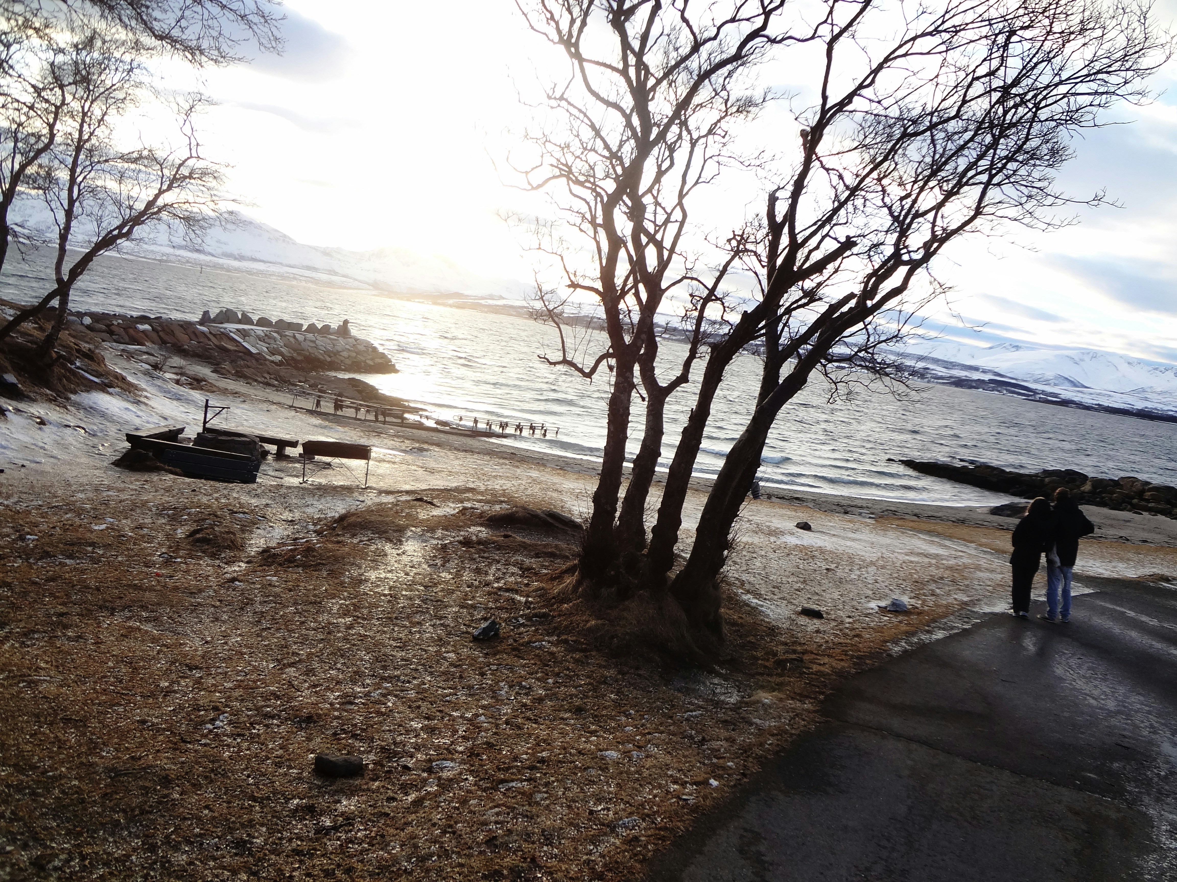 Free Unsplash photo from Johan Löthman