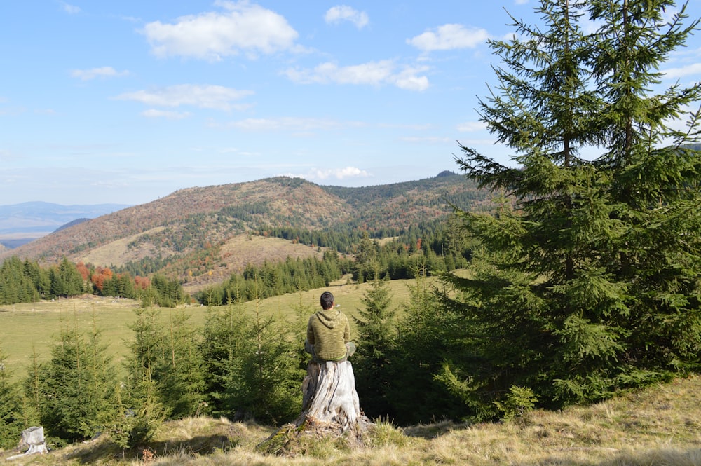 man sitting alone on tree stump facing green trees and mountain under clear blue cloudy sky