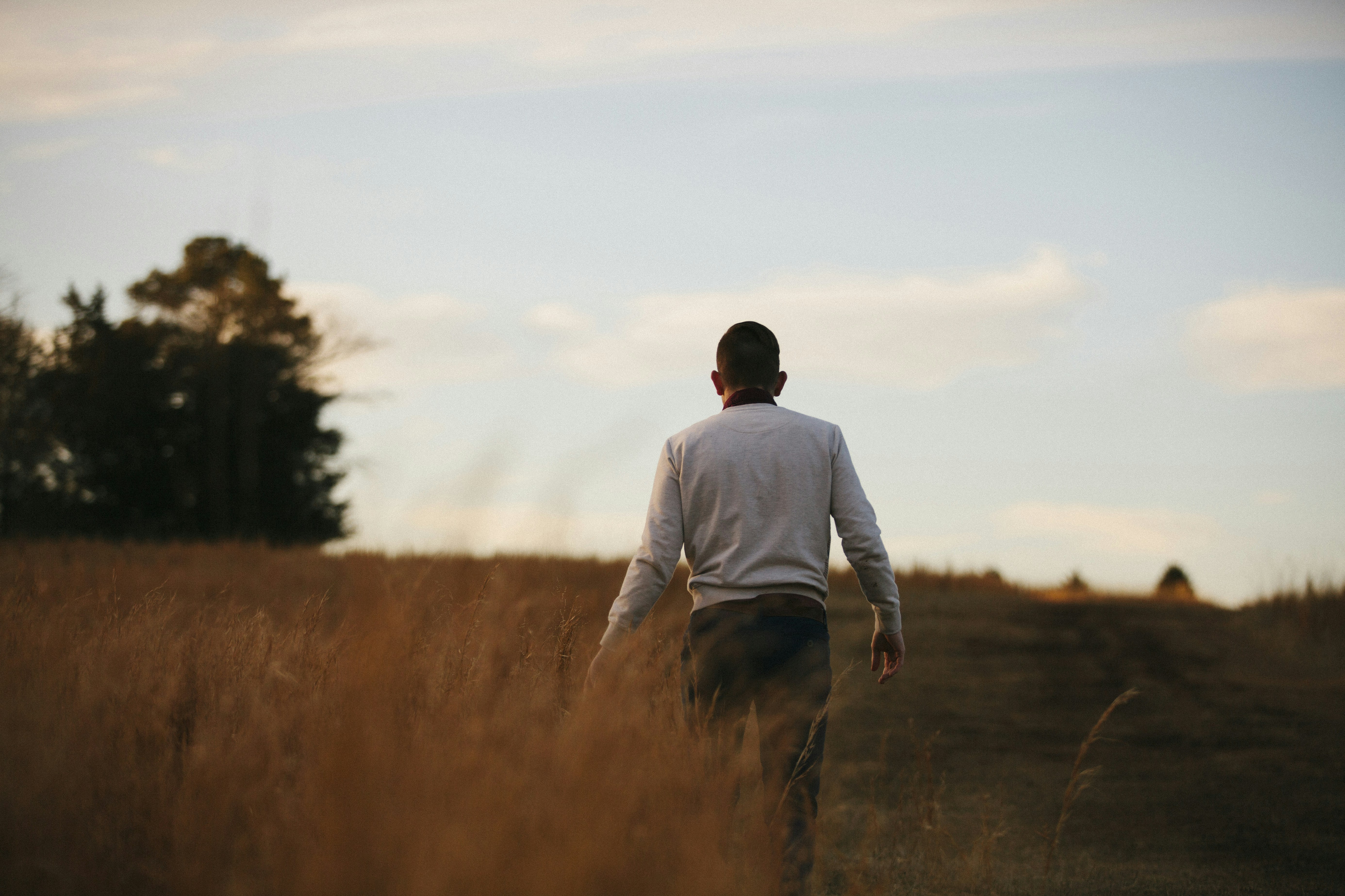 Free Unsplash photo from Karl Fredrickson