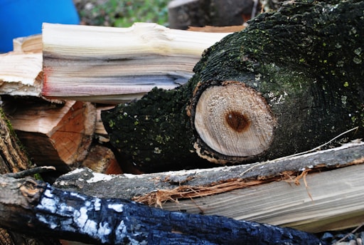 A pile of chopped firewood consisting of various logs and branches, displaying diverse bark textures and inner wood colors. Notably, a large log with a visible circular cut surface and dark greenish bark is prominent, and another piece shows a layer of charred blackened bark. The scene includes a background with hints of natural elements and a blue barrel.