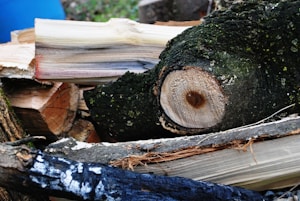 Bois de chauffage premium