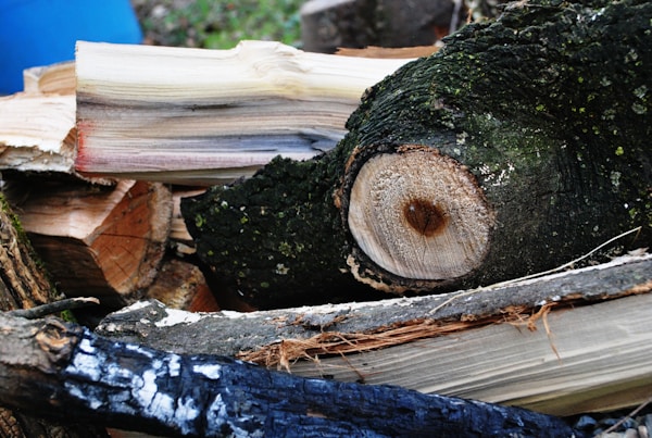 Bois de chauffage premium