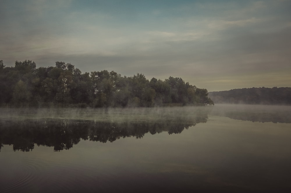 Graustufenfoto von Bäumen in der Nähe von Körperwasser