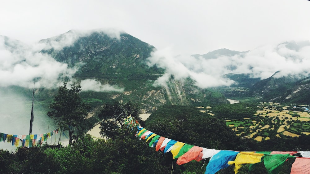 assorted-color flags hanging on forest