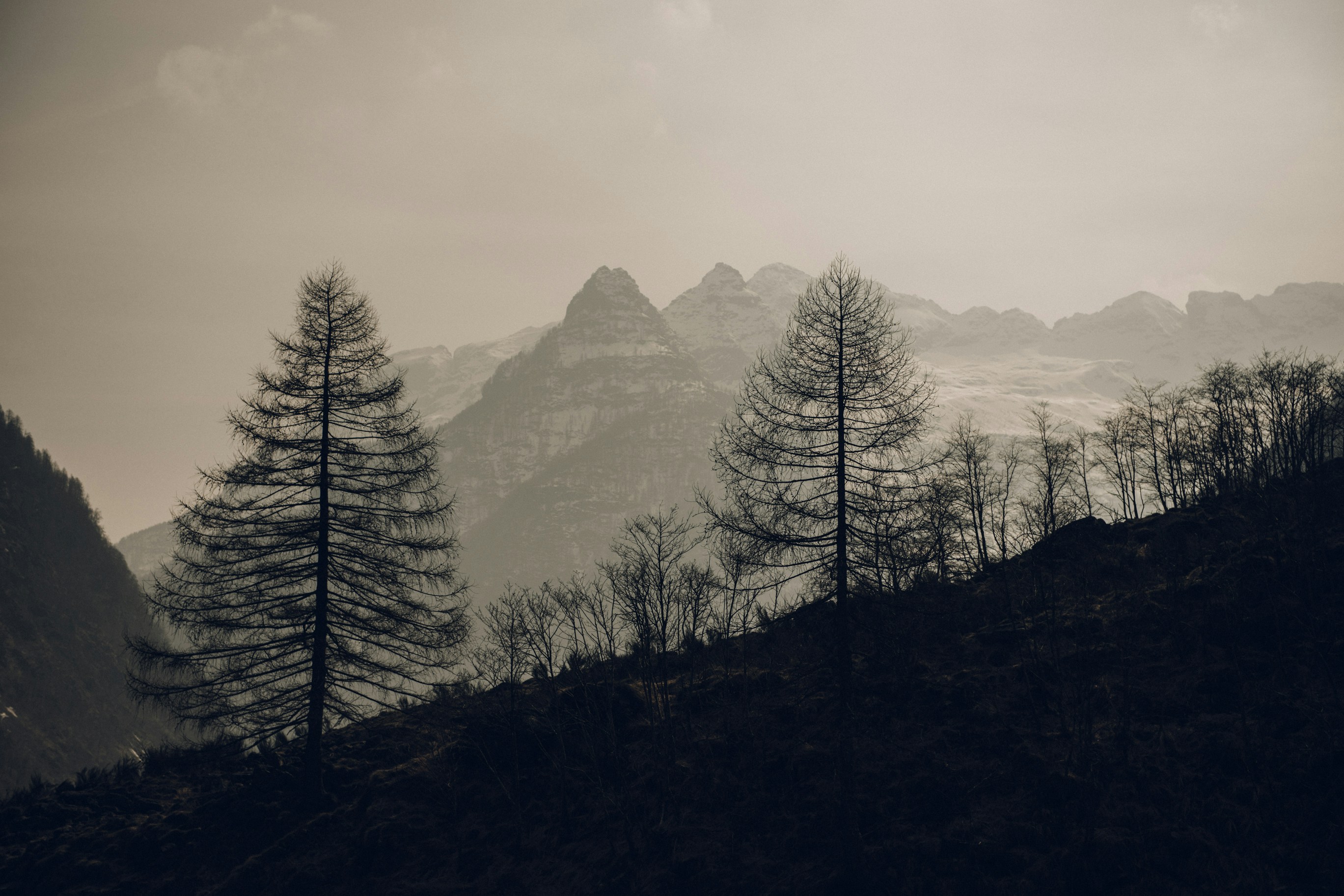 Free Unsplash photo from Beat Staub