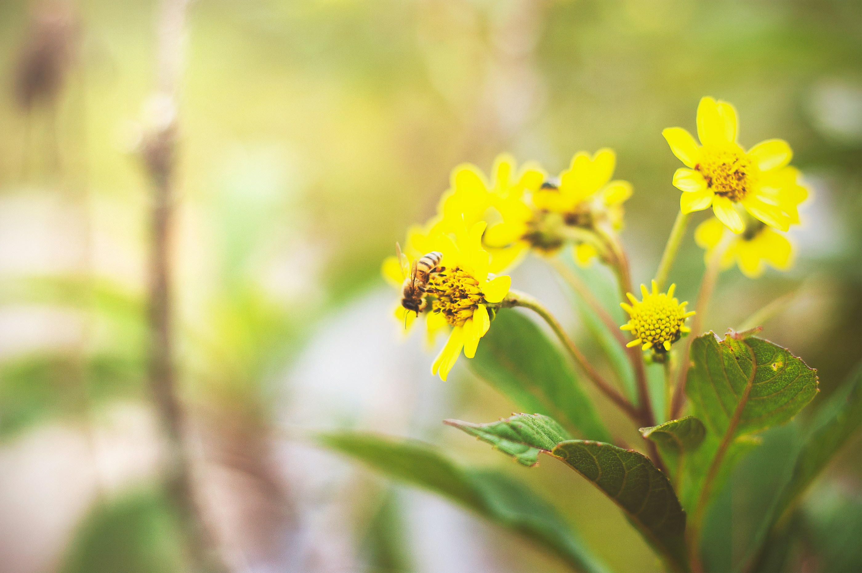 Free Unsplash photo from Bruno Soares