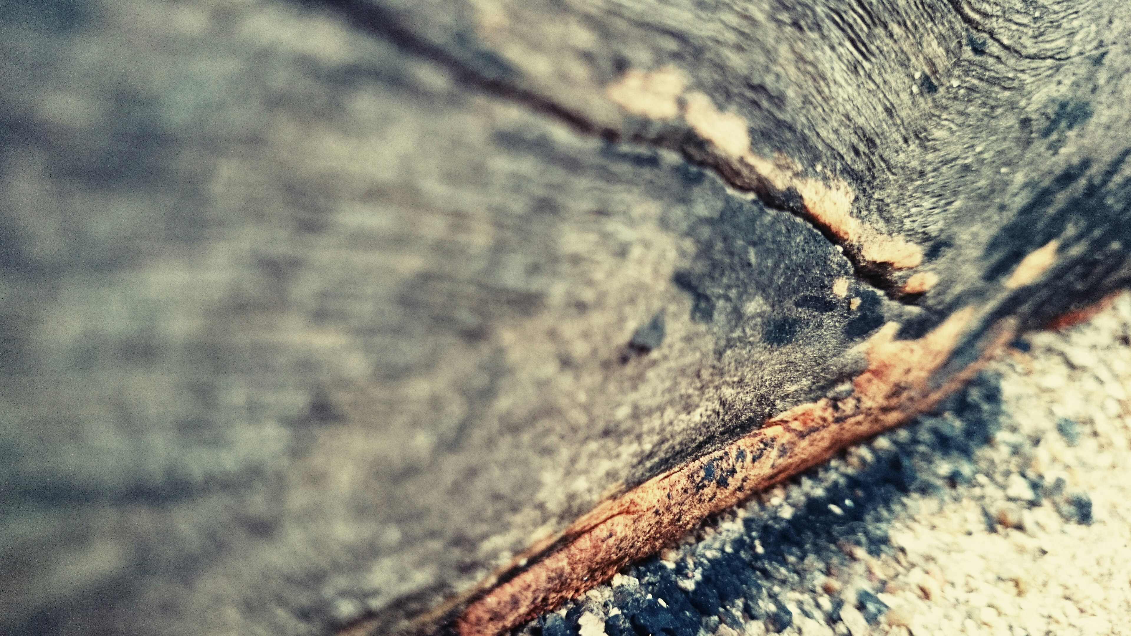 Free Unsplash photo from Saikrishna Tipparapu