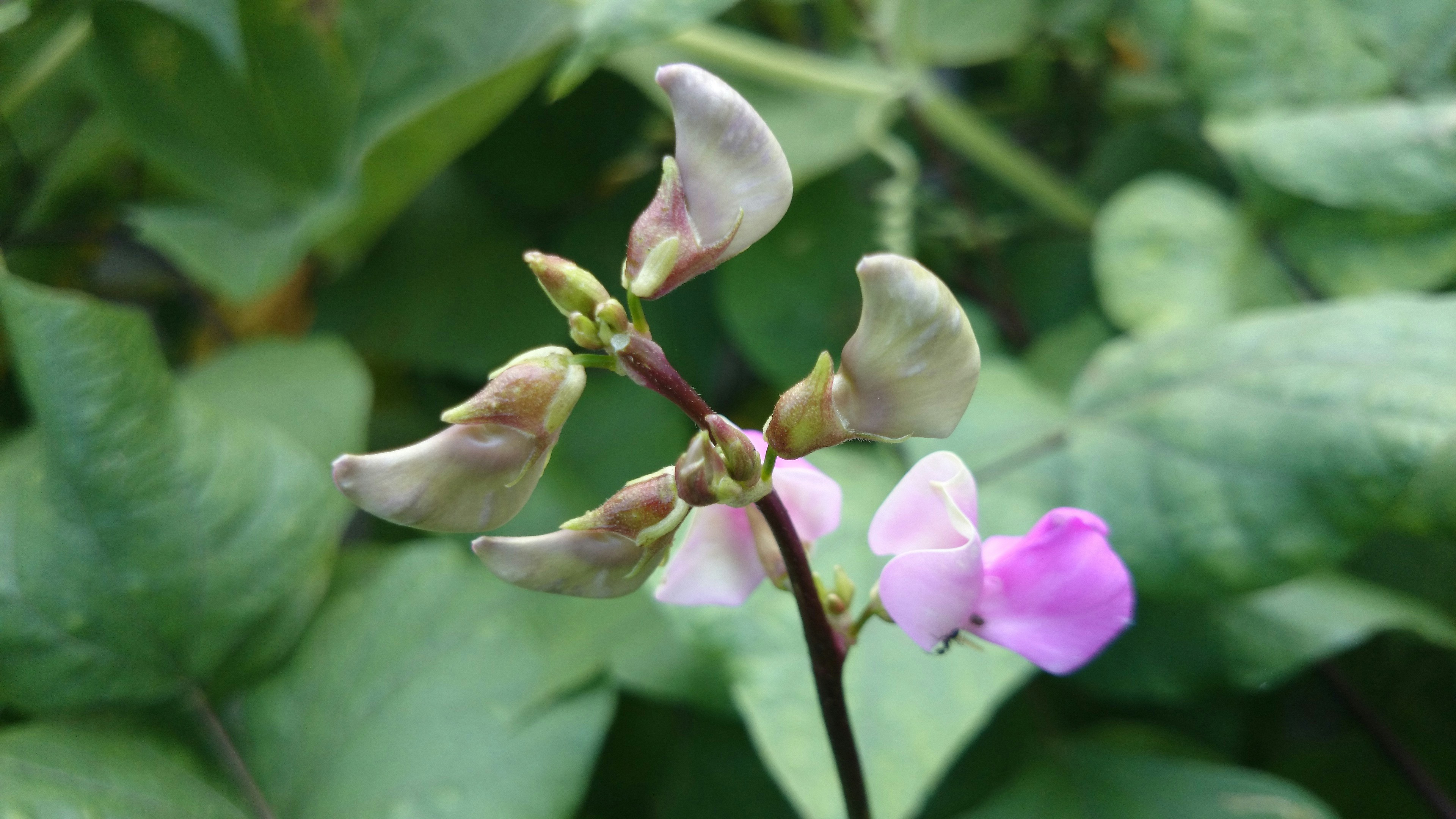 Free Unsplash photo from Saikrishna Tipparapu