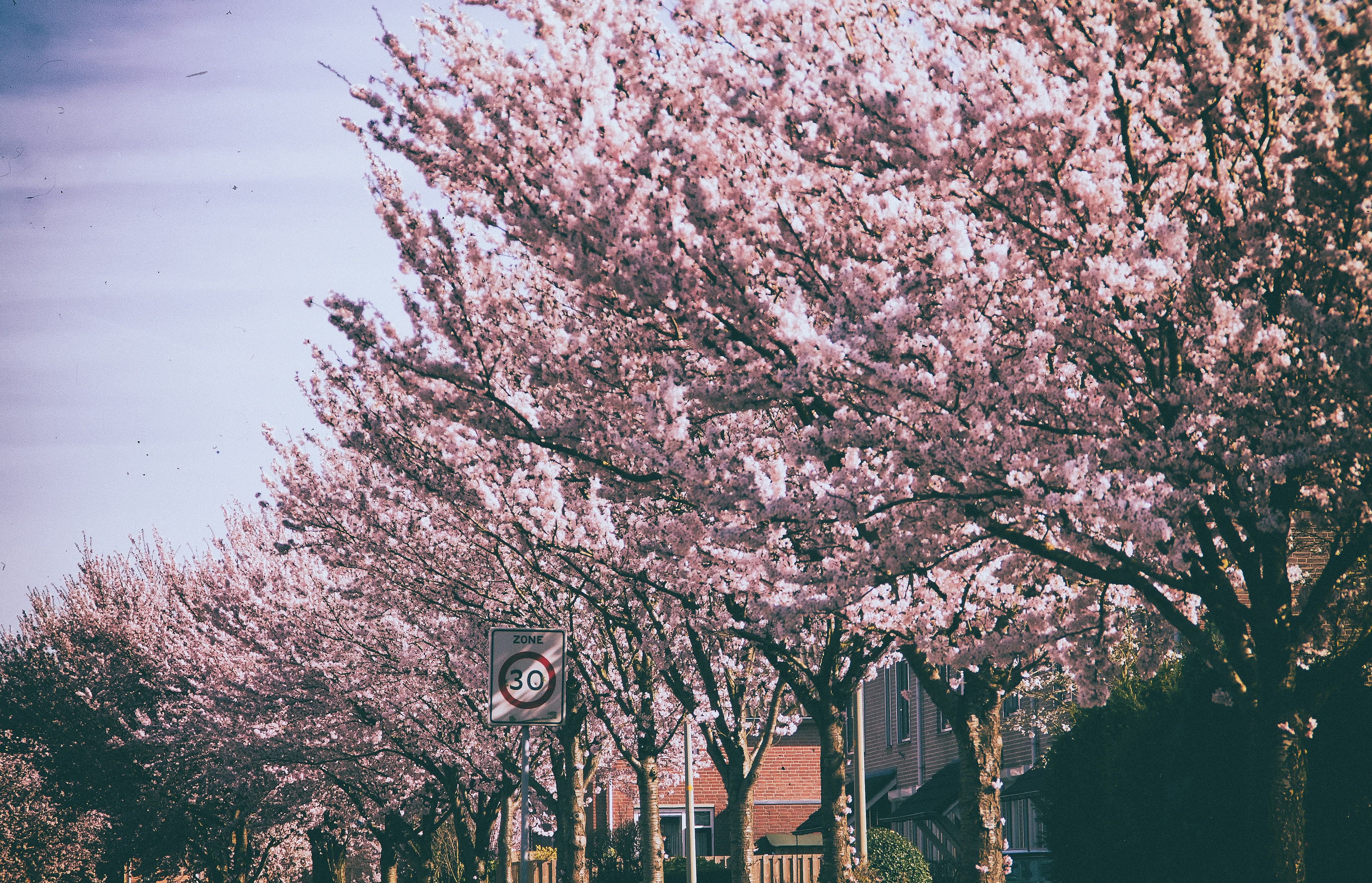 Free Unsplash photo from Mathijs Vos