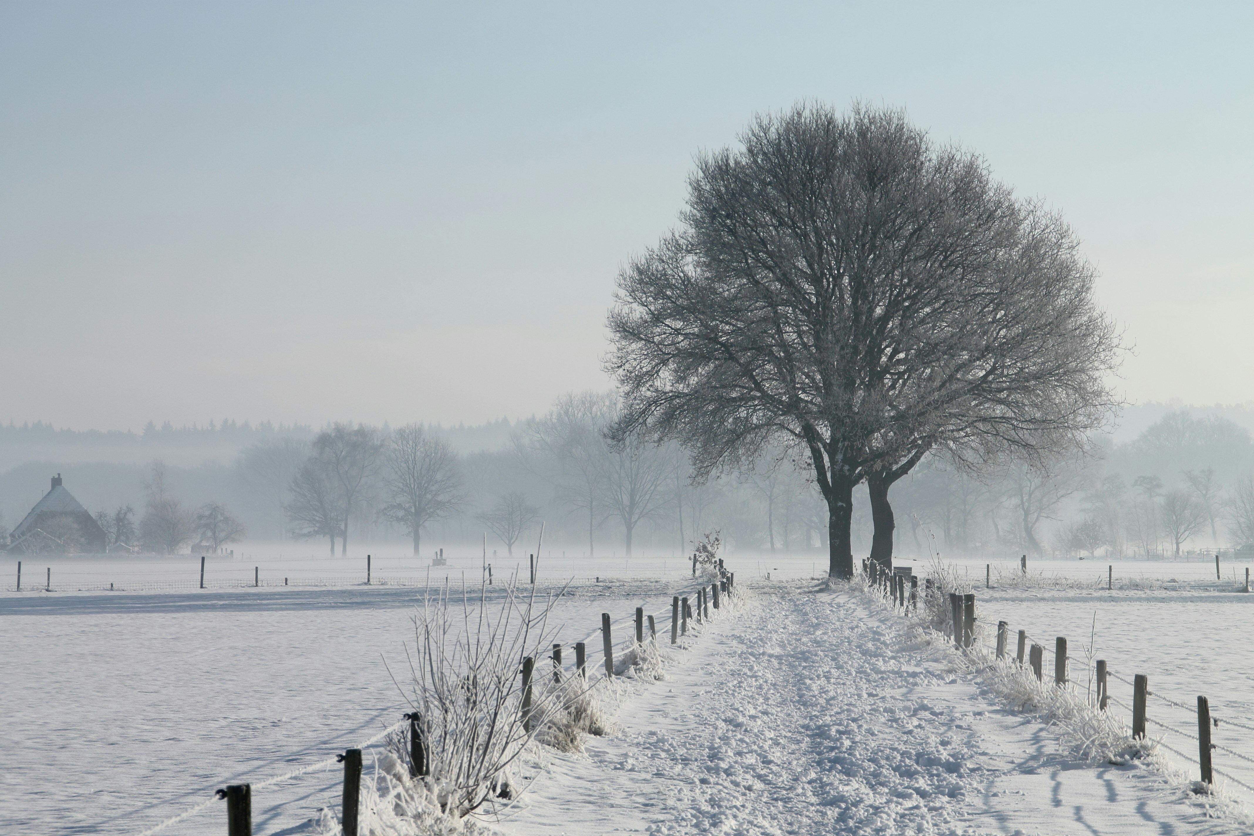 Free Unsplash photo from Mathijs Vos