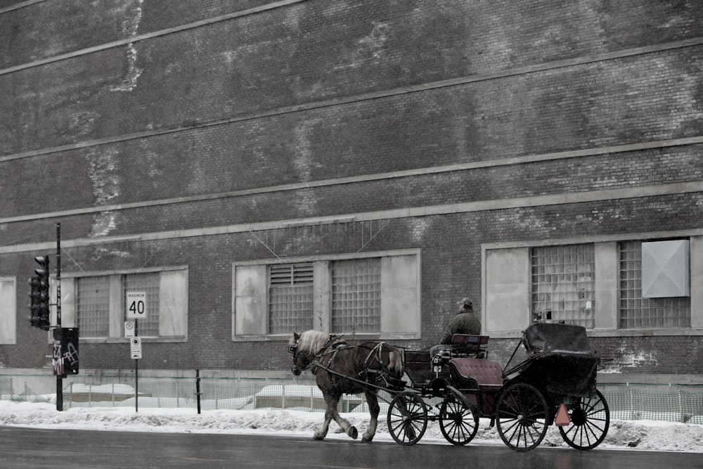 uomo che cavalca la carrozza con il cavallo vicino all'edificio