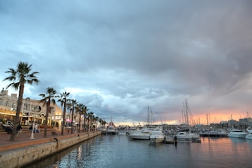 A picturesque harbor scene featuring a row of palm trees lining a waterfront promenade. Numerous boats and yachts are moored in the marina, with a vibrant sky filled with clouds reflecting hues of sunset. Buildings with outdoor seating areas are on the left, suggesting a lively atmosphere.