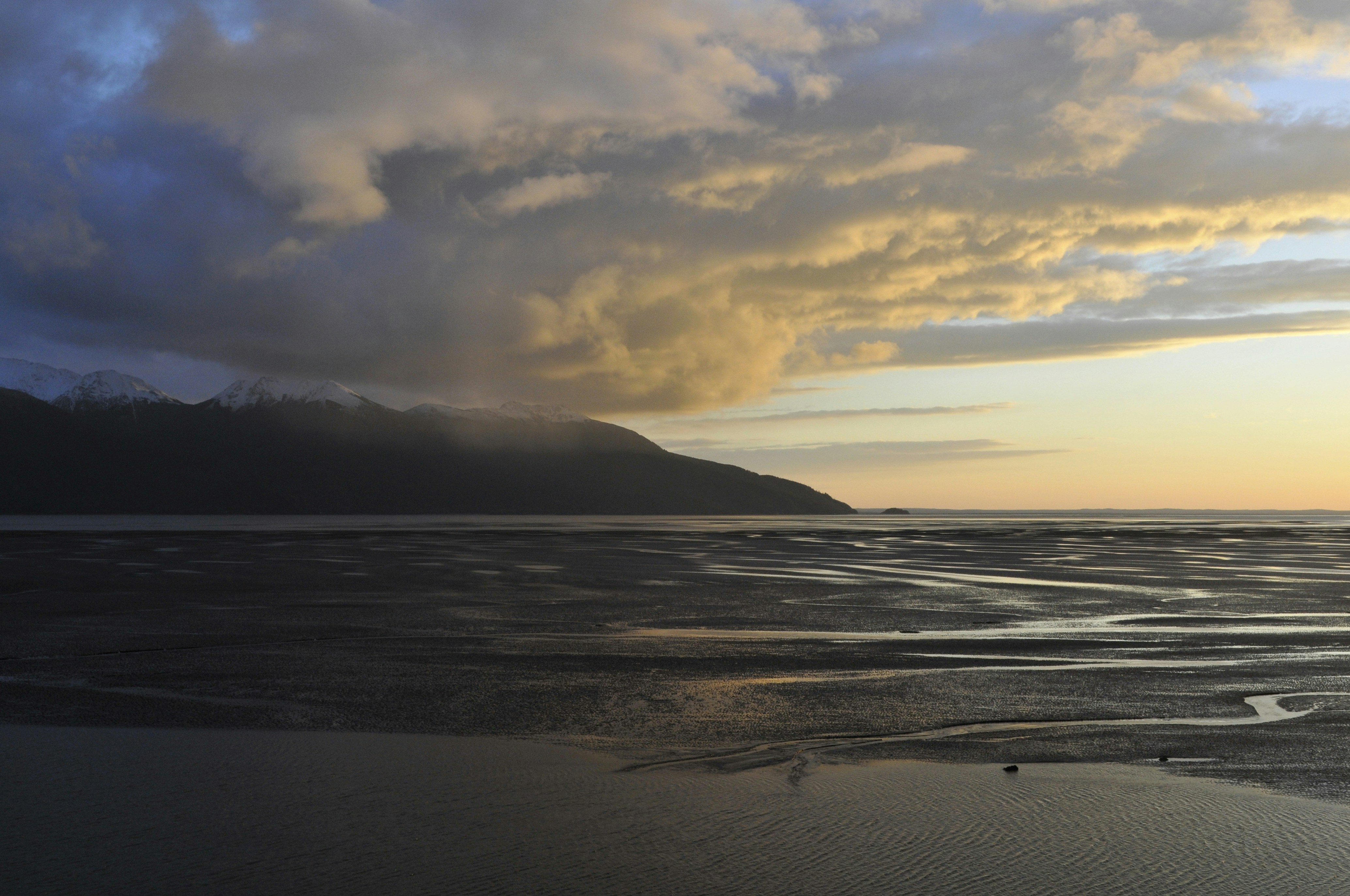 Free Unsplash photo from Andrew Mattingly