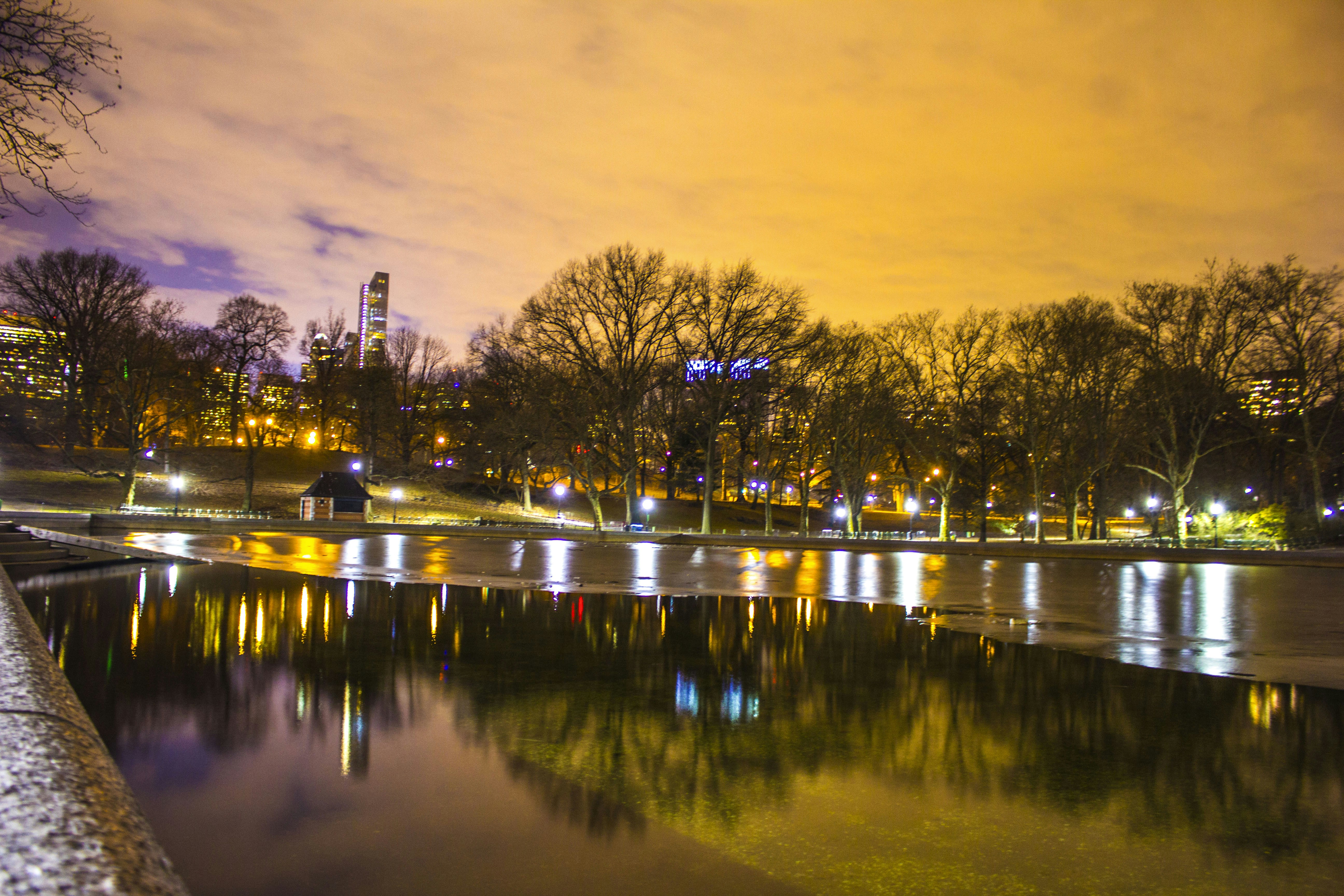 Free Unsplash photo from Javier Graterol