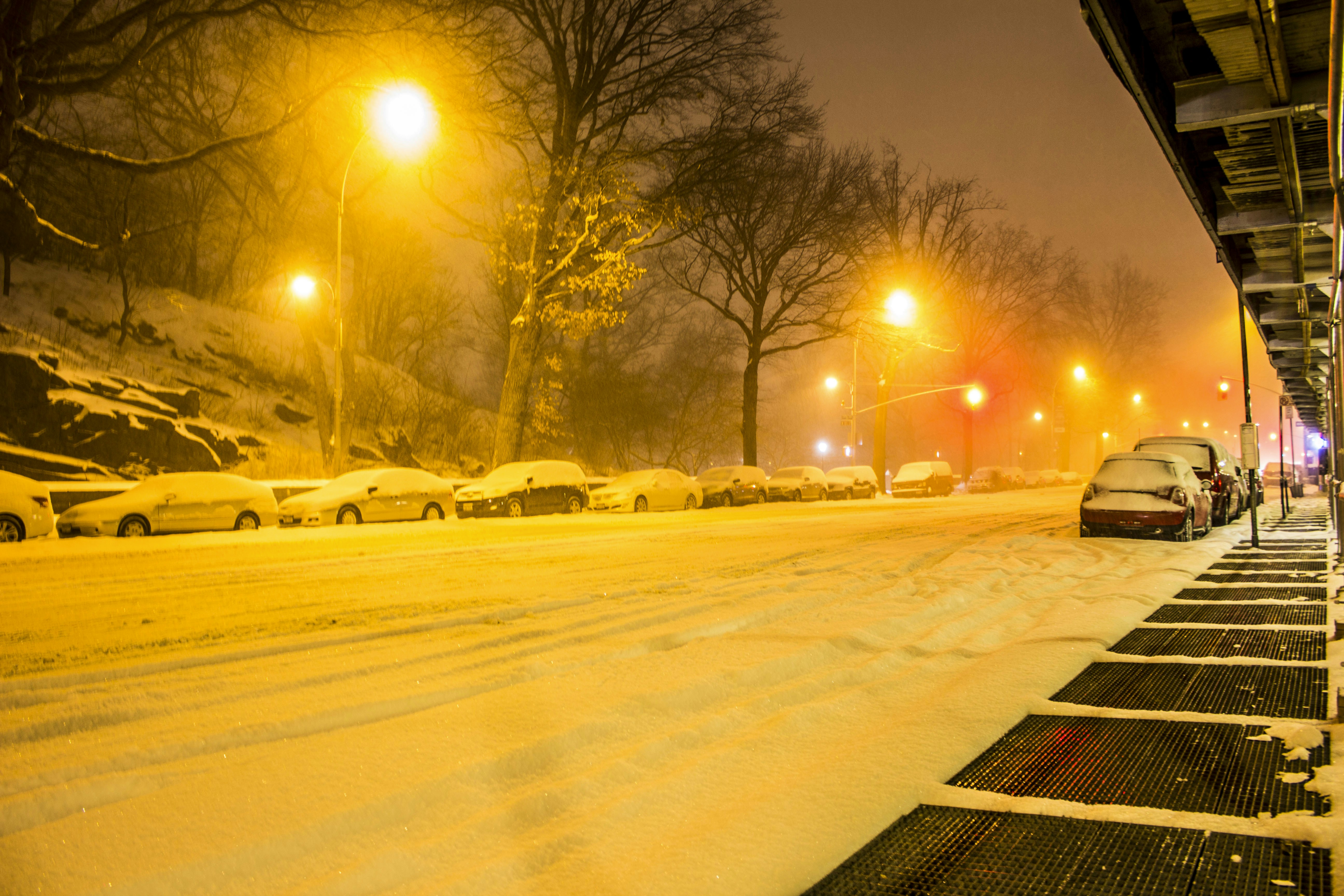 Free Unsplash photo from Javier Graterol