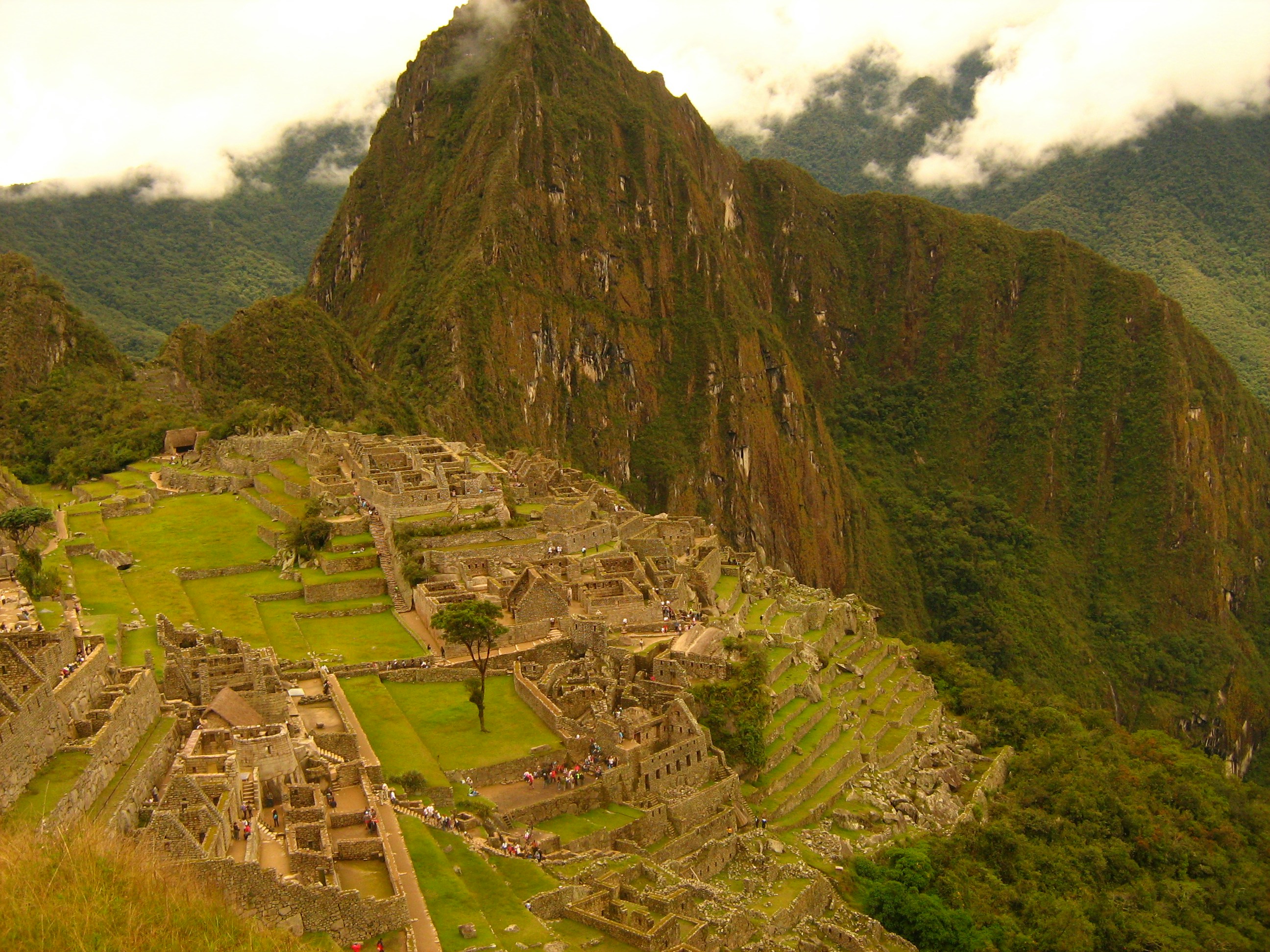 Free Unsplash photo from Ximena Torres Rodríguez