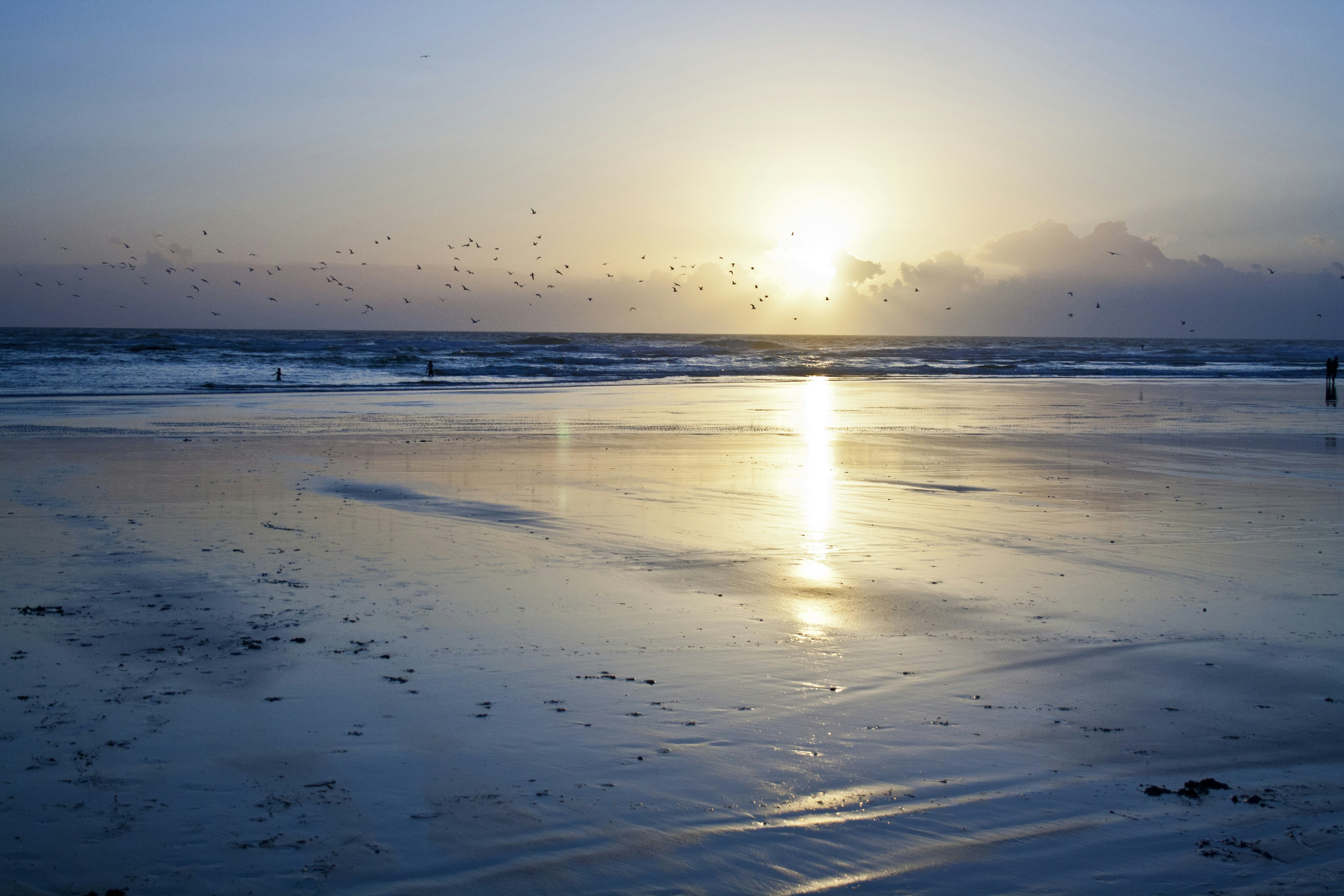 Free Unsplash photo from Philip Swinburn