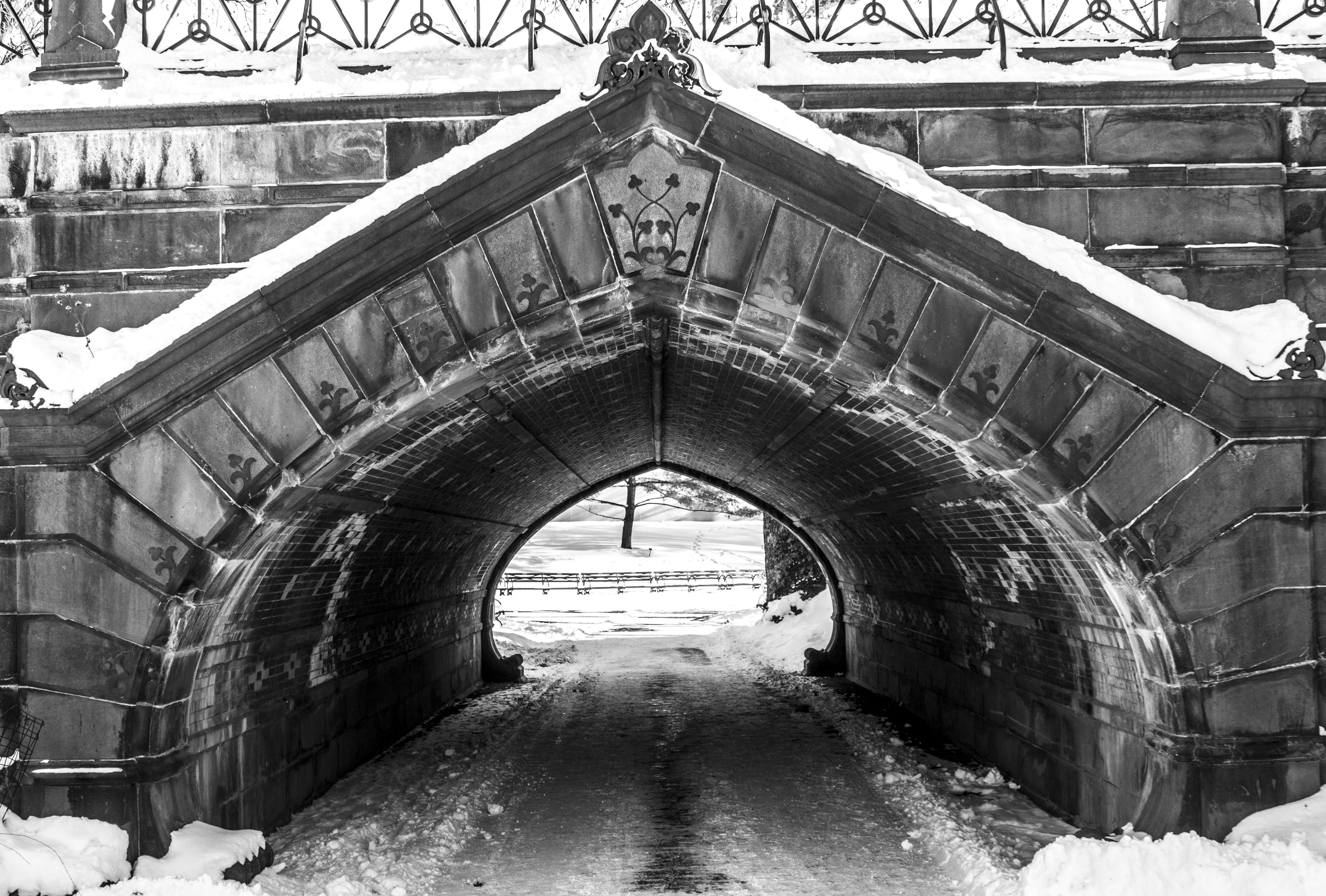 Free Unsplash photo from Javier Graterol