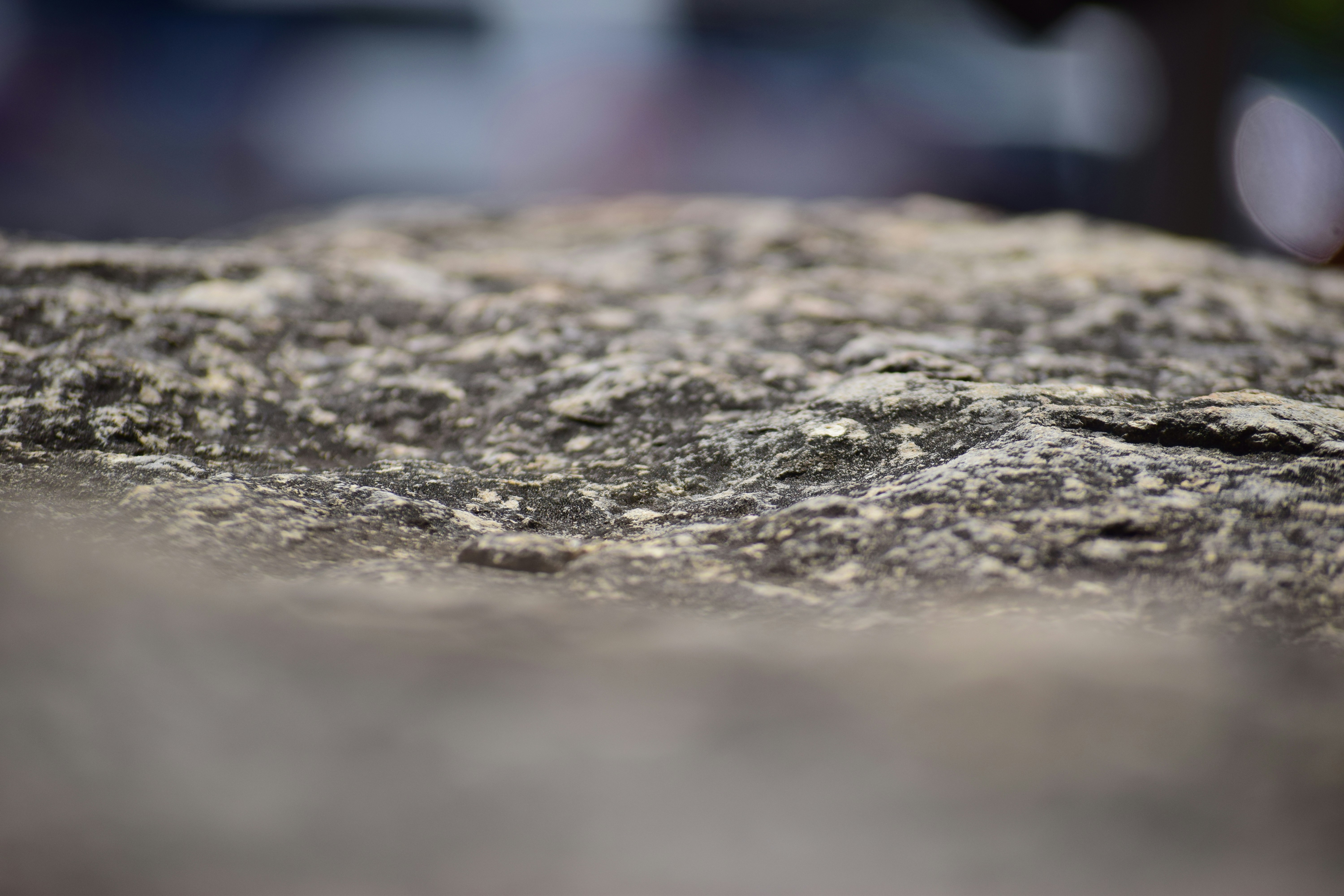 Free Unsplash photo from Sophia Nicholas