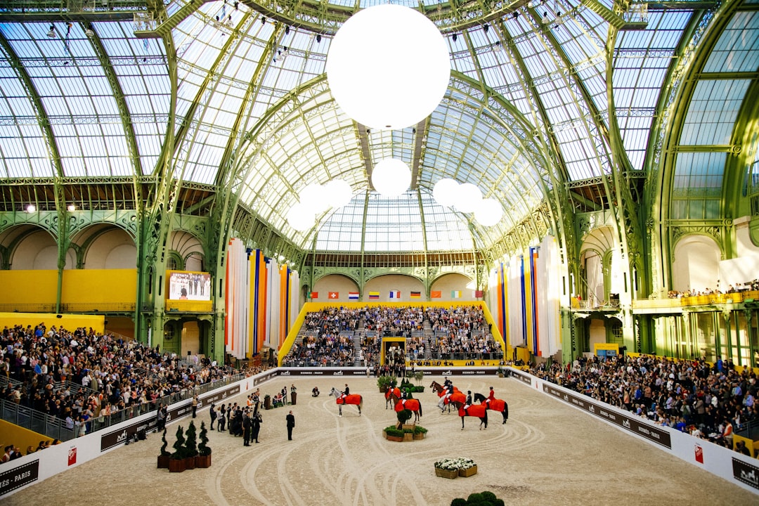 people riding horses in stadium