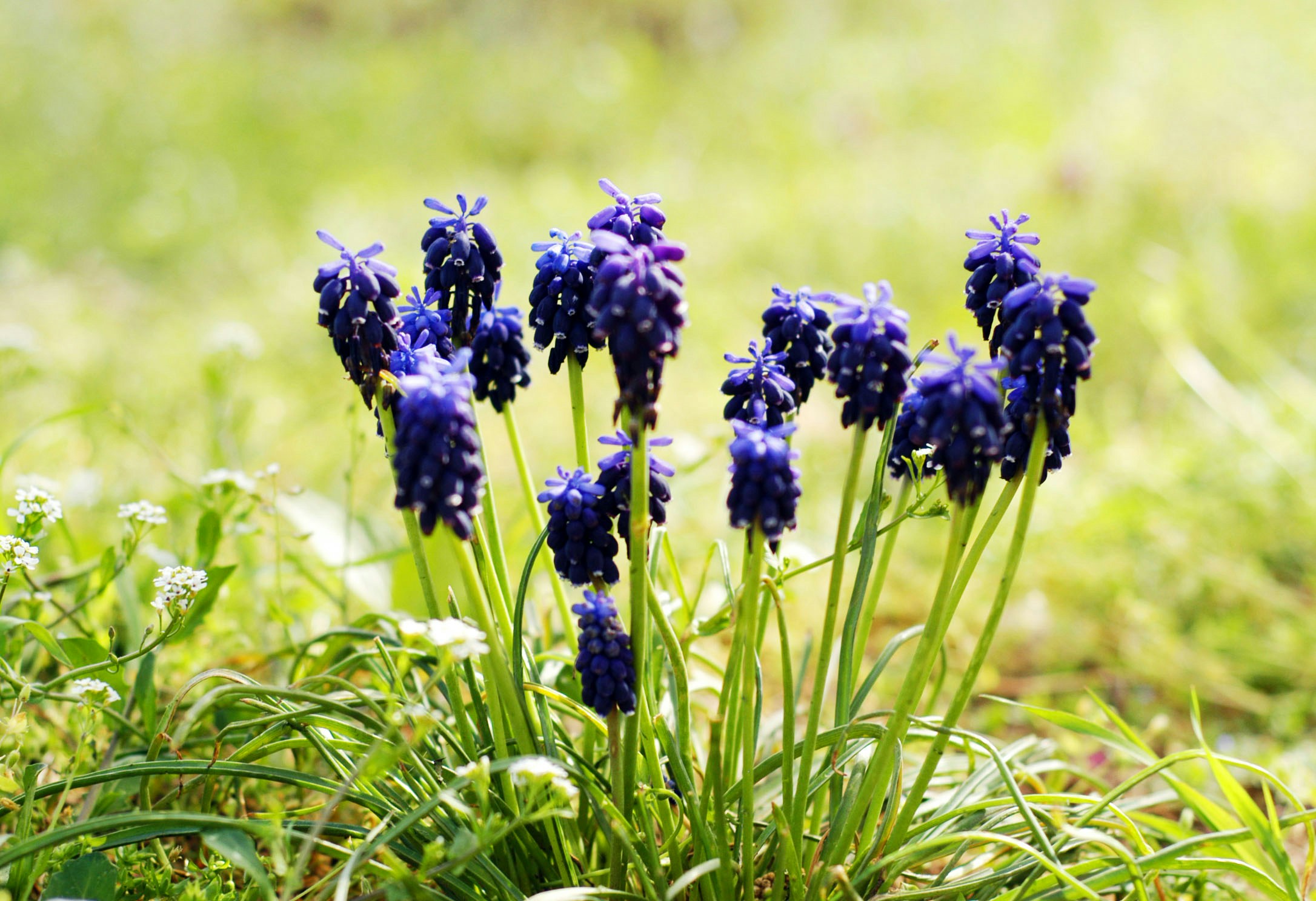 Free Unsplash photo from Helen Yanovskaya