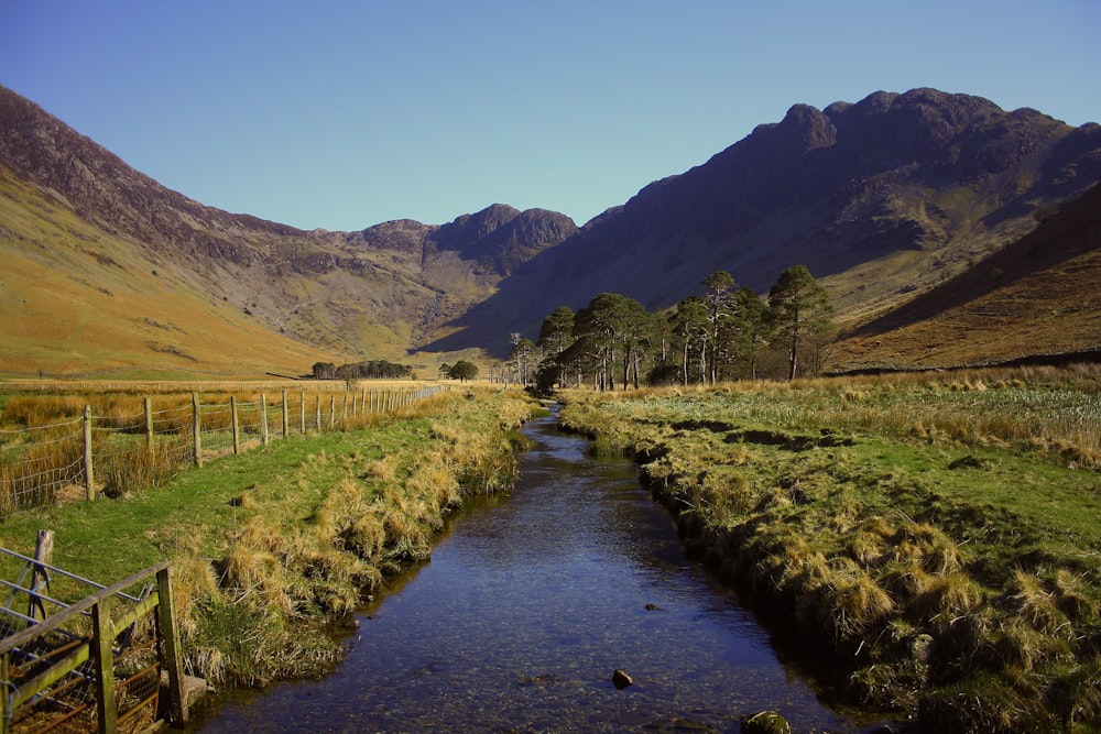 flowing water between green grass during daytime