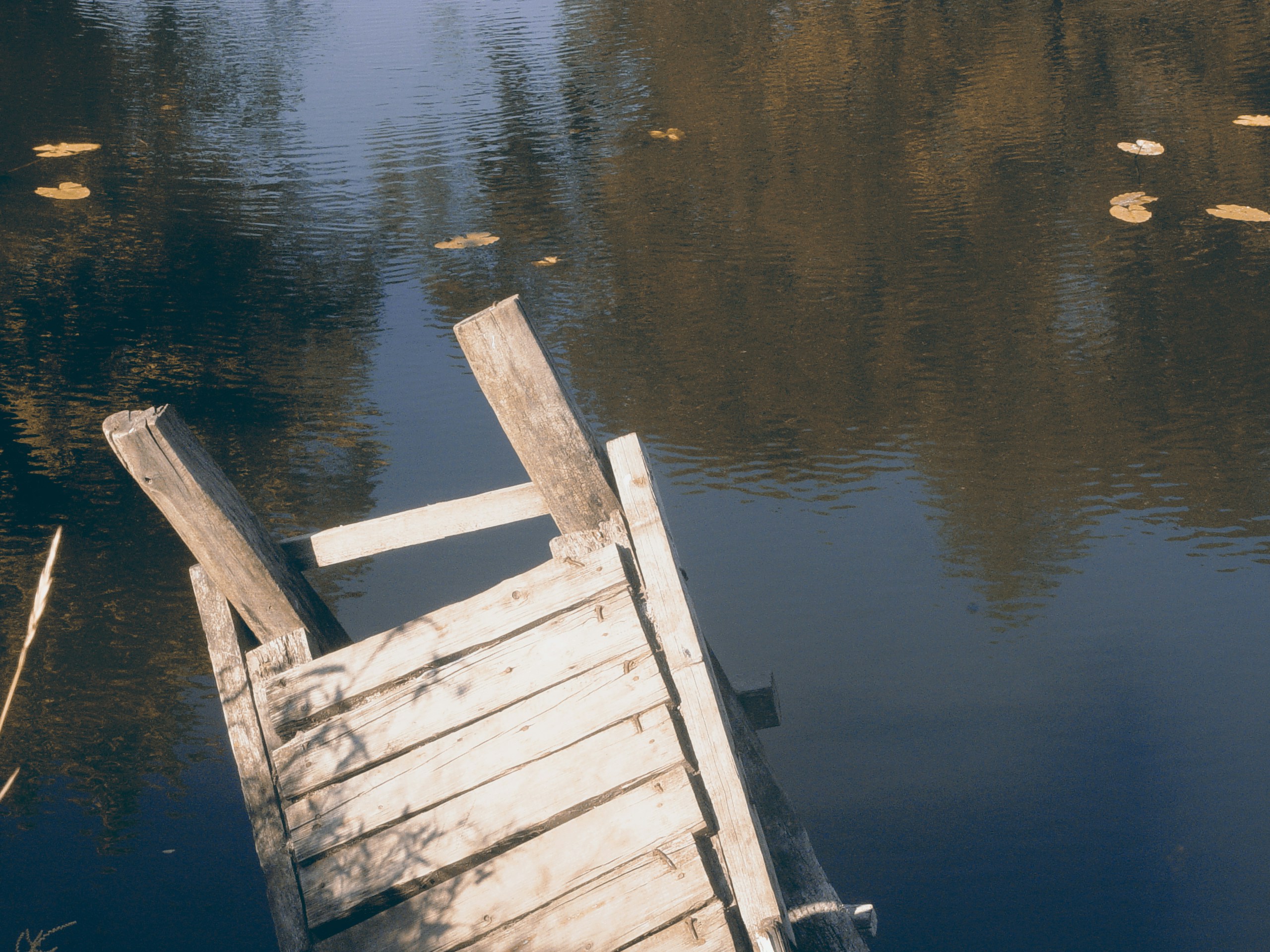 Free Unsplash photo from Elena Ilyinskaya