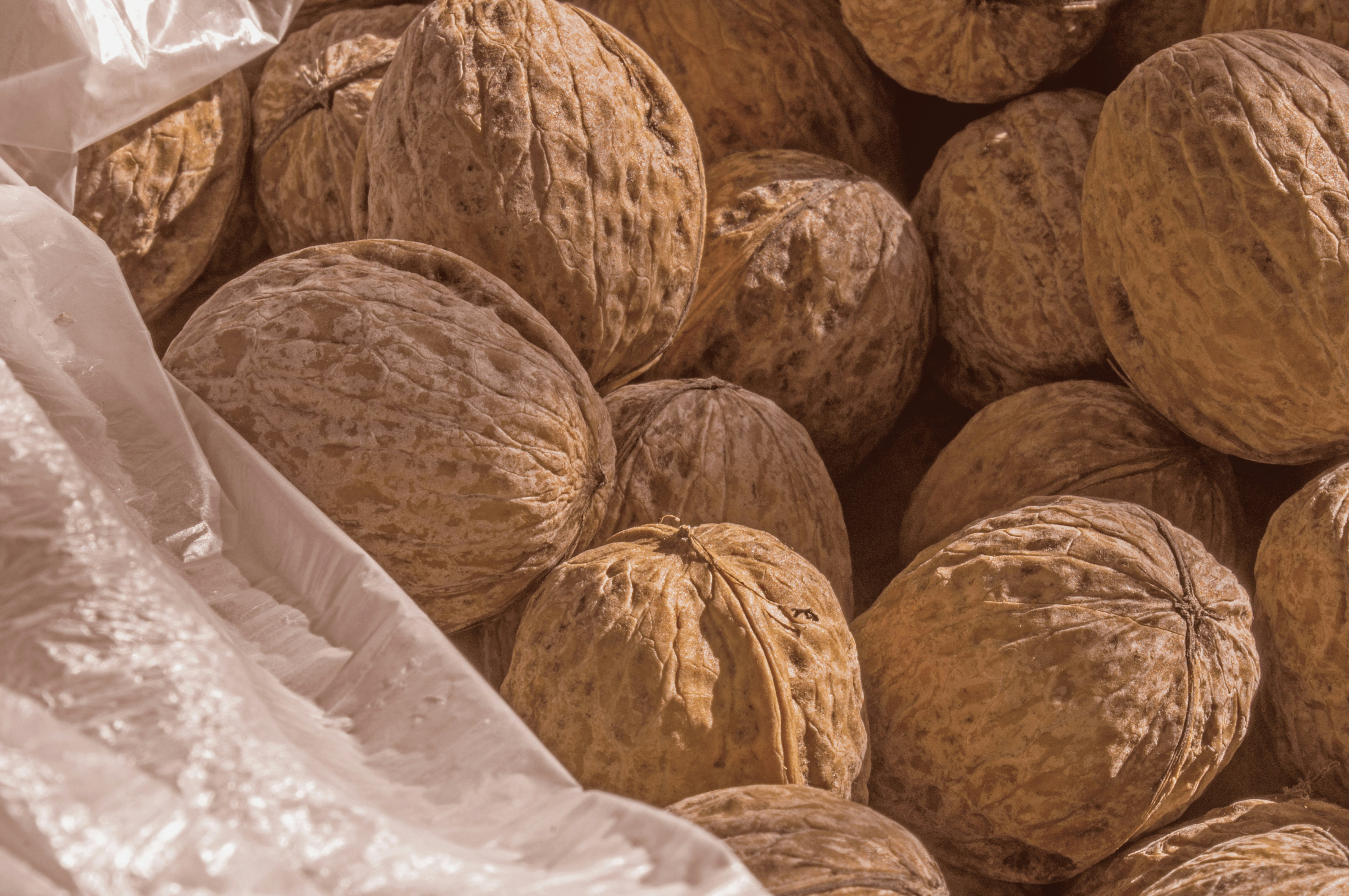 Free Unsplash photo from Elena Ilyinskaya