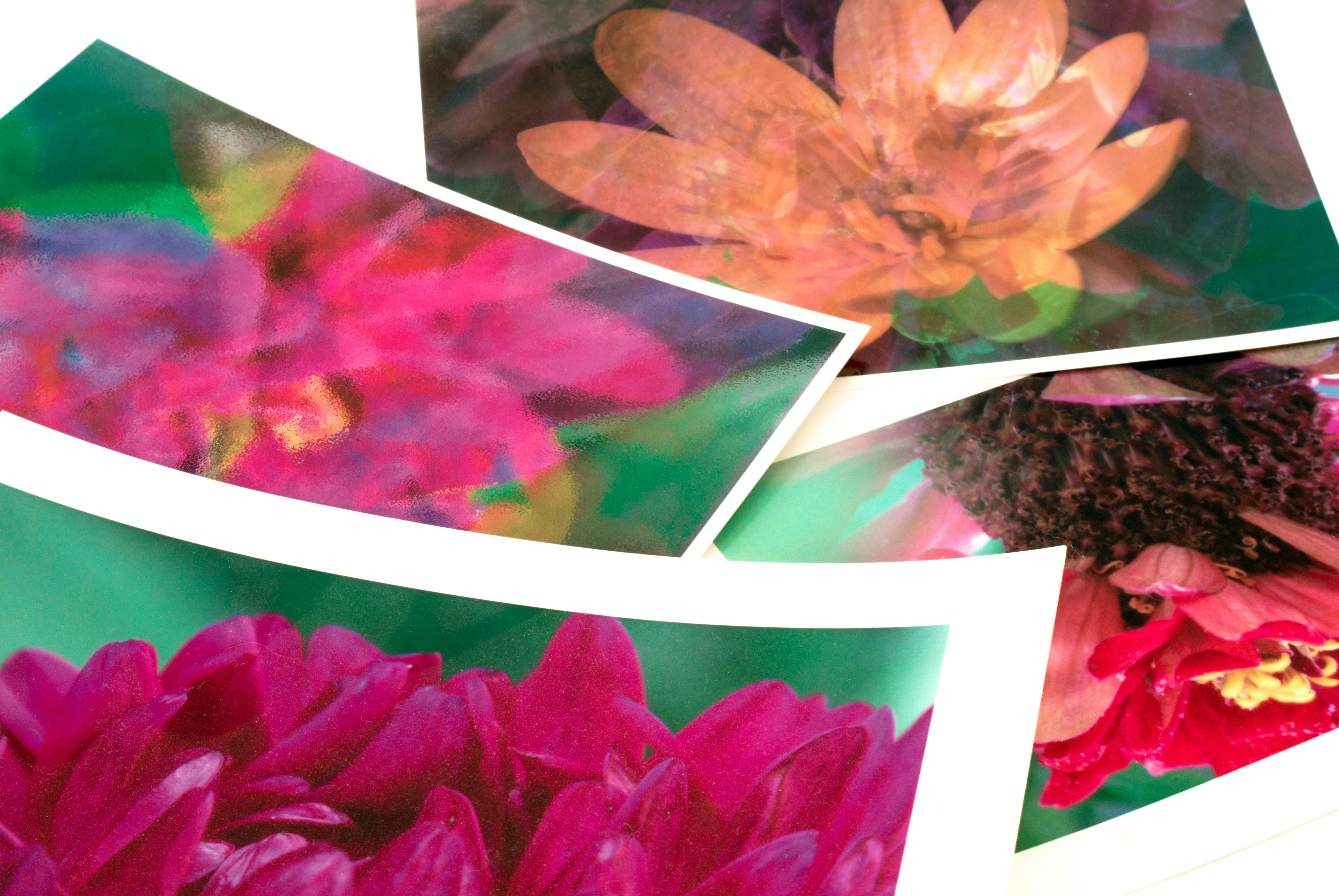 Free Unsplash photo from Elena Ilyinskaya