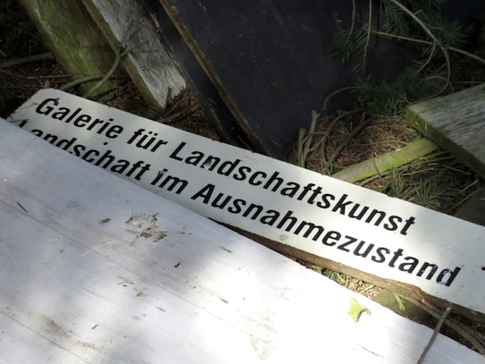 A rustic sign with German text is surrounded by natural elements such as wooden planks, branches, and pine needles. The setting suggests an outdoor or forest environment with uneven surfaces and a mix of light and shadow.