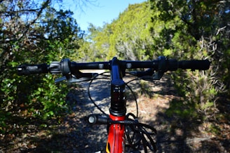Pair of cycling gloves gripping handlebars on a sunlit forest trail.