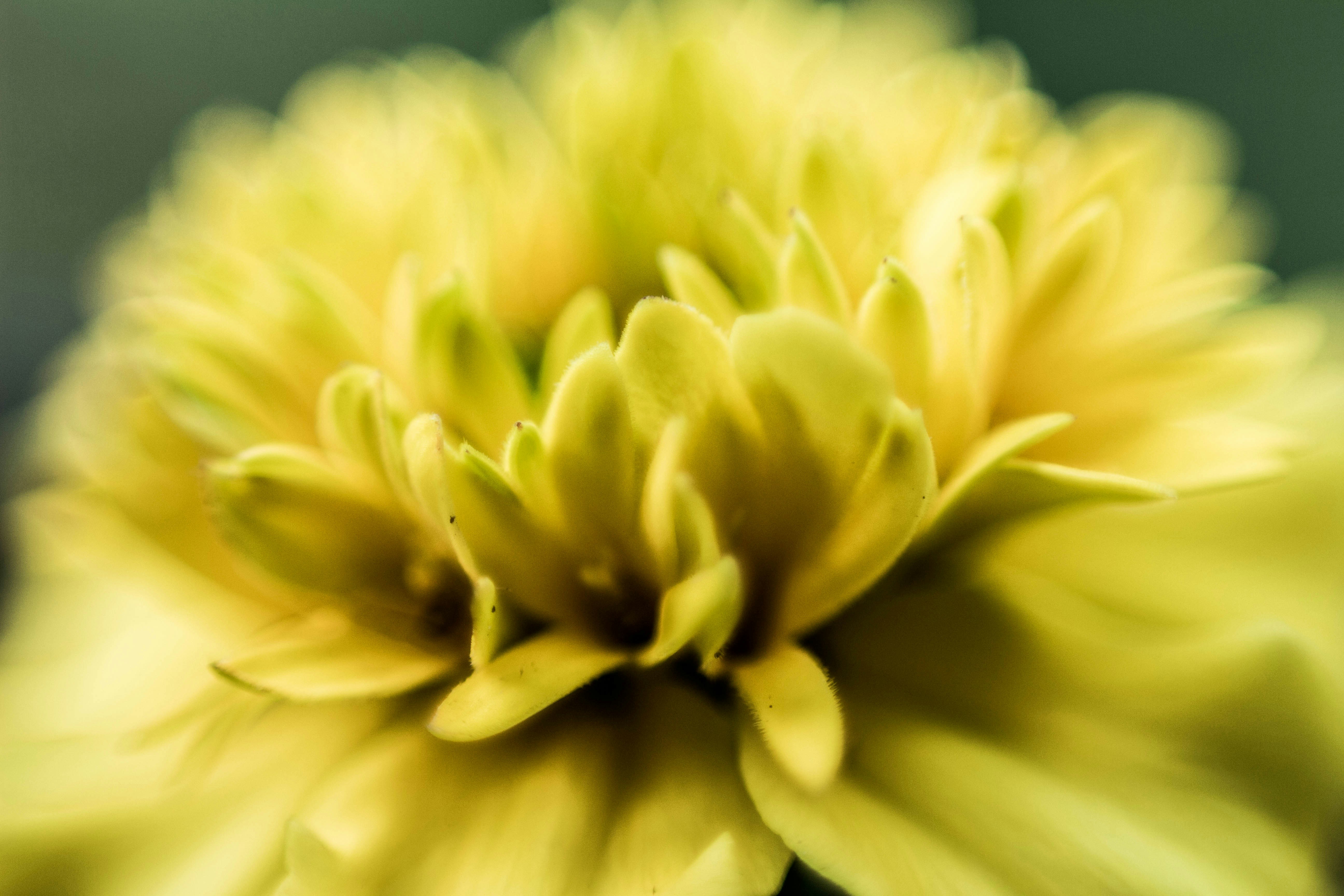 Free Unsplash photo from Ina Peristere