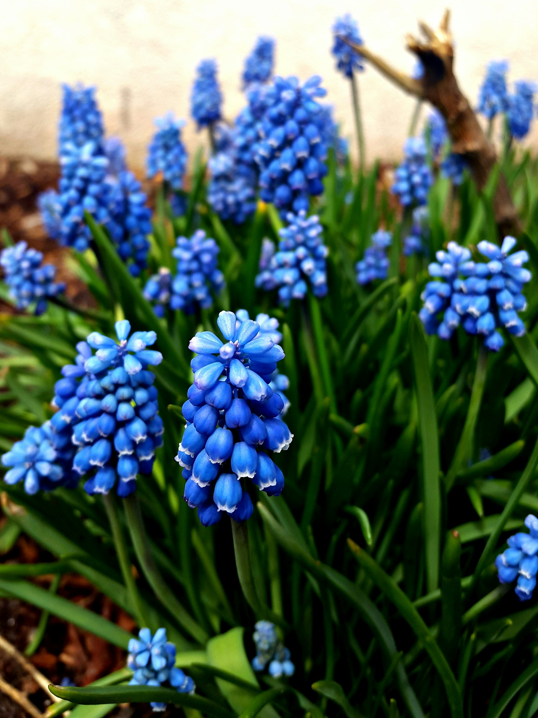 Free Unsplash photo from ergeta muca