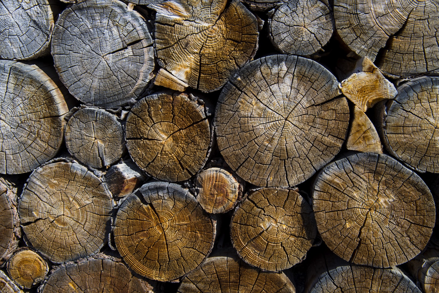 Important of Sustainable Wood Management