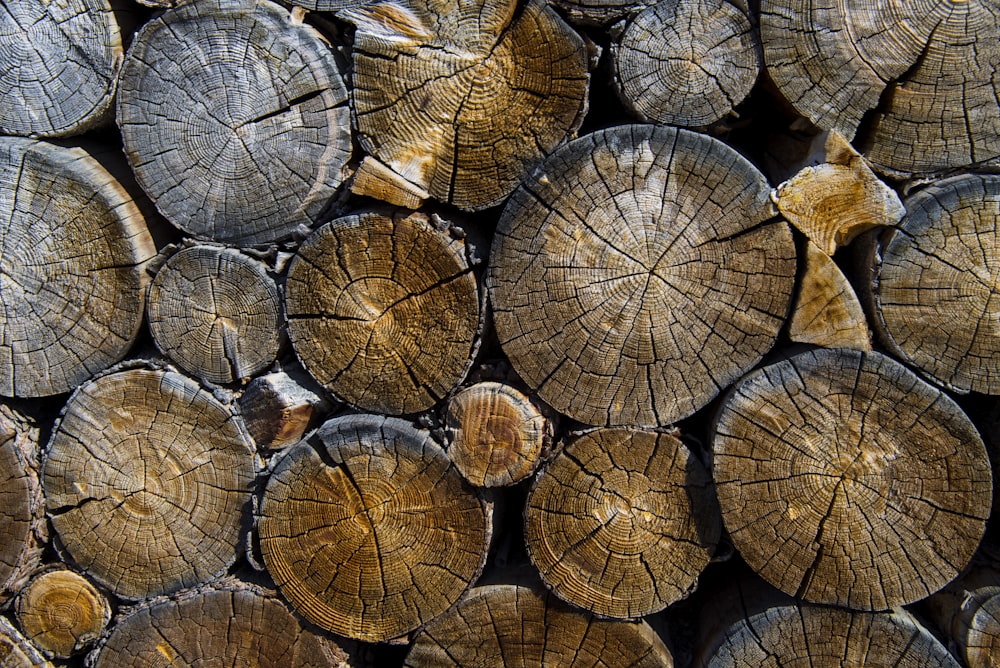 photography of pile of woods
