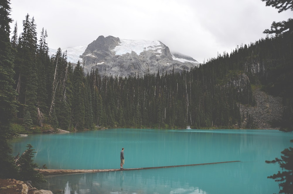 man standing on tree trunk near body of water