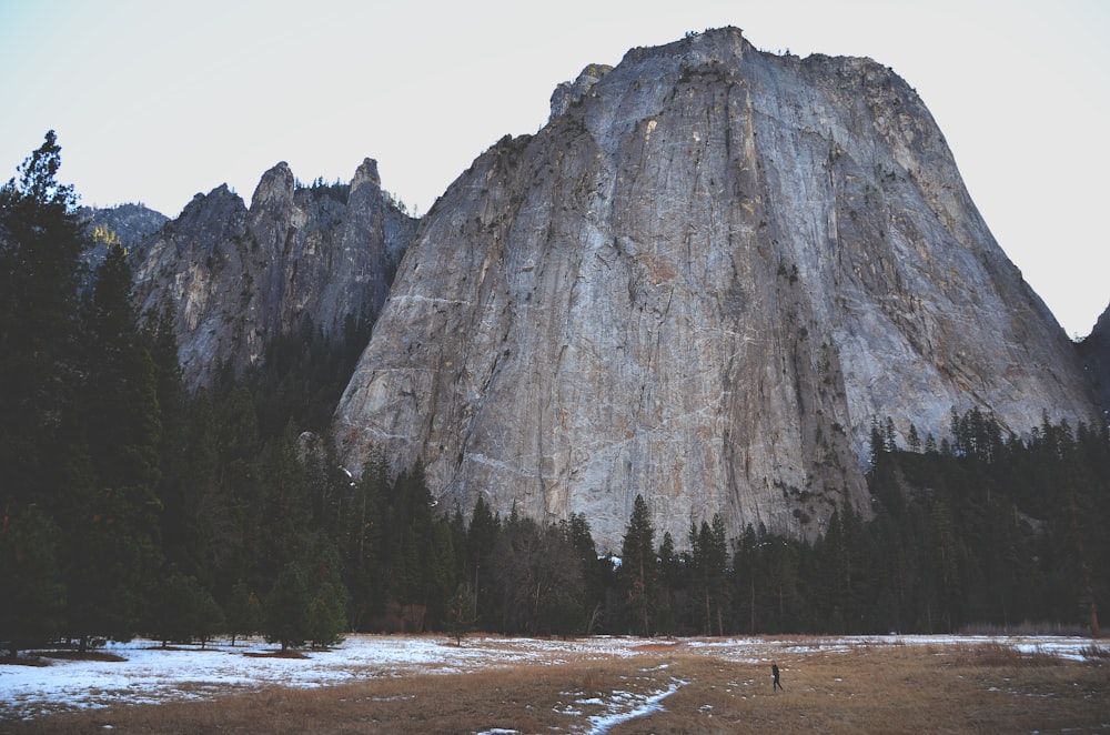 photo of gray mountain and green trees